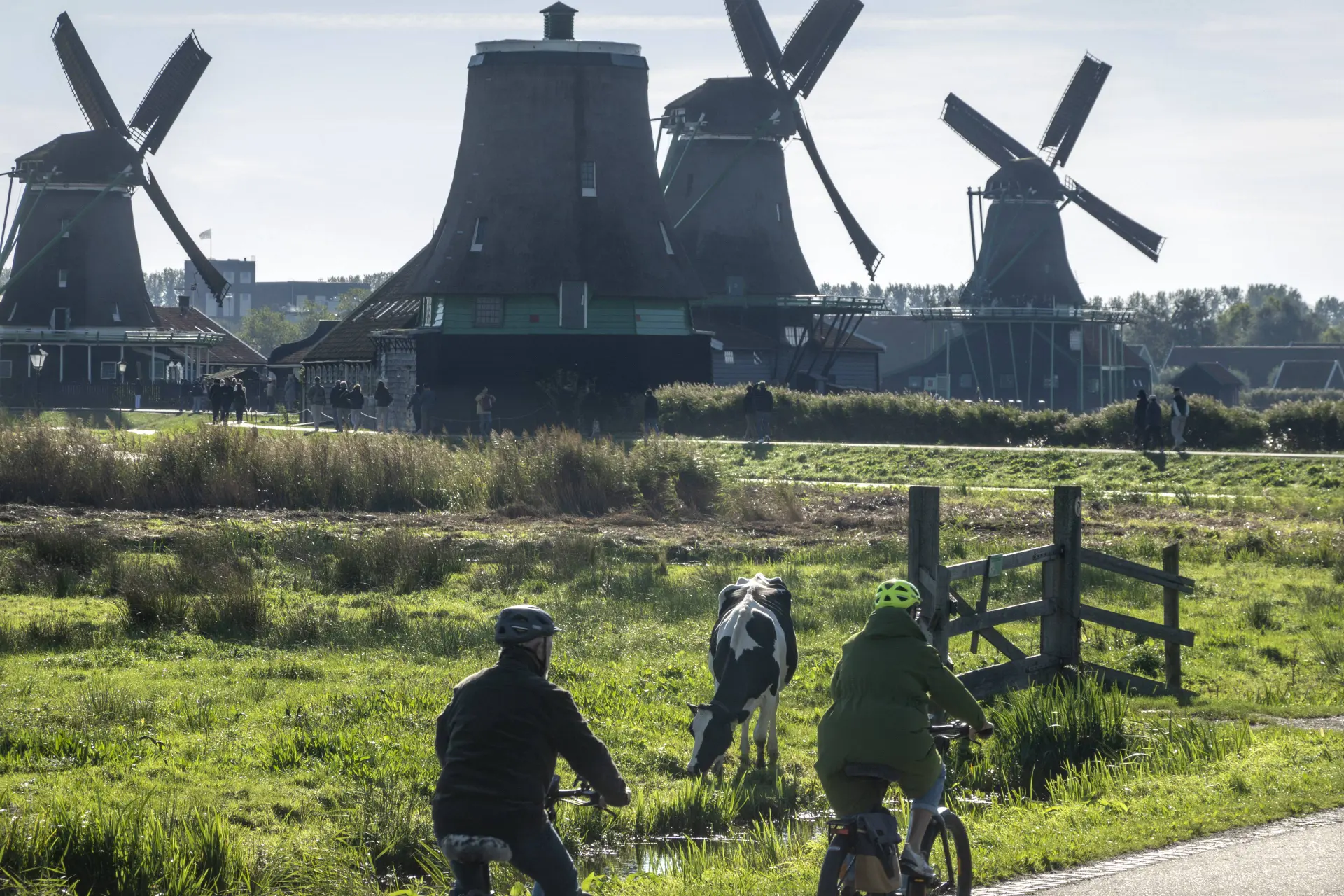 Veel klagen, veel regen en toch zijn we ontzettend gelukkig. Hoe kan dat?