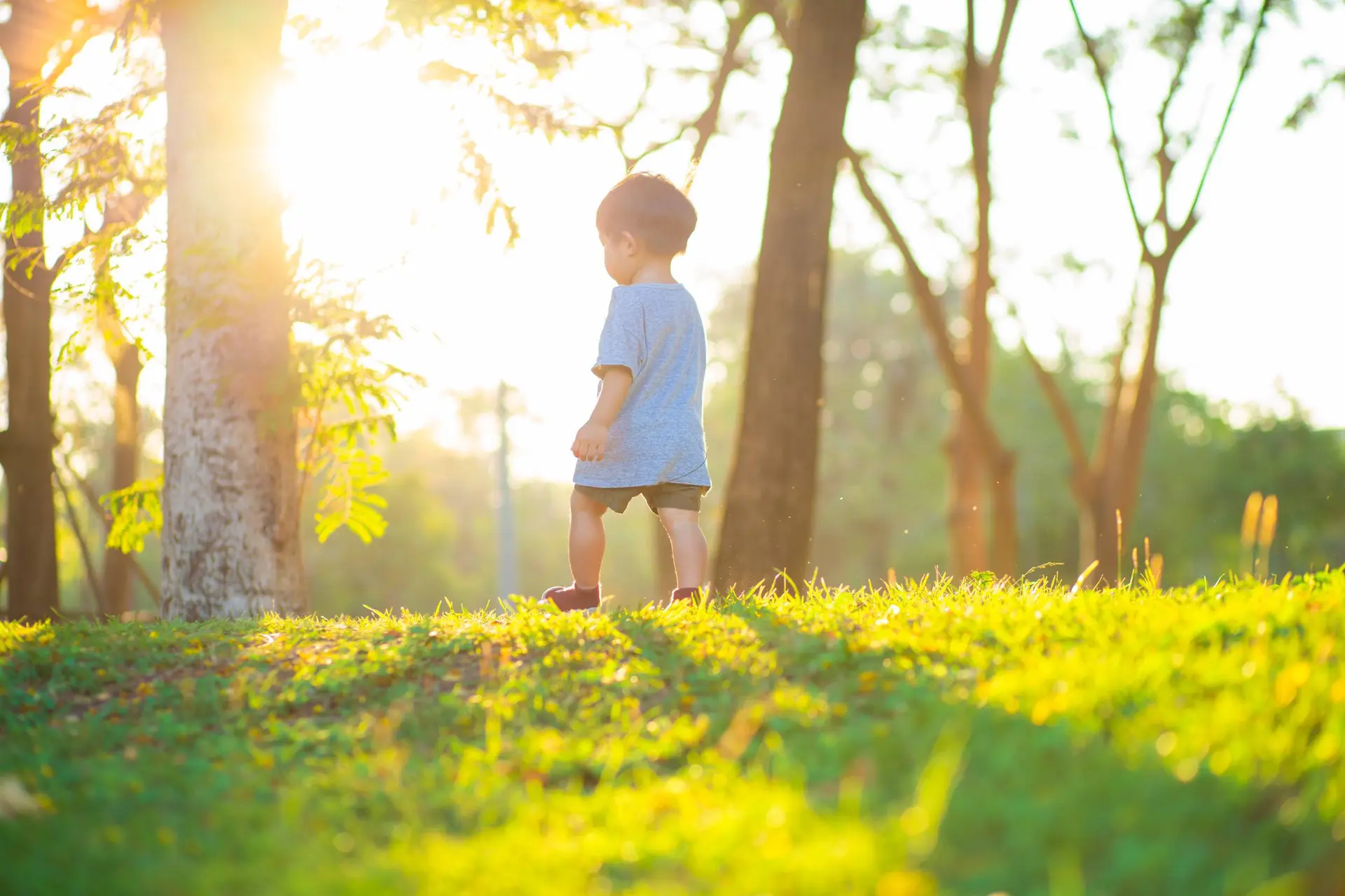 Bomen planten bevordert de gezondheid van pasgeborenen, zo blijkt uit nieuwe studie