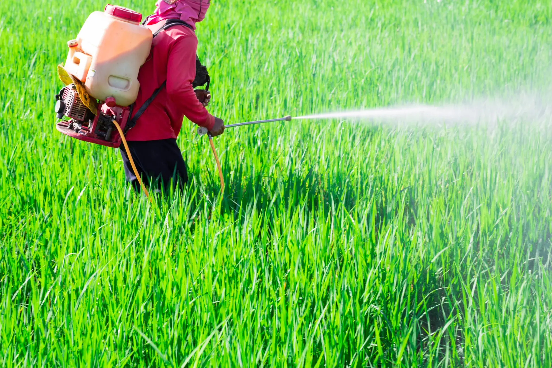 Boeren stoppen Pfas in de grond