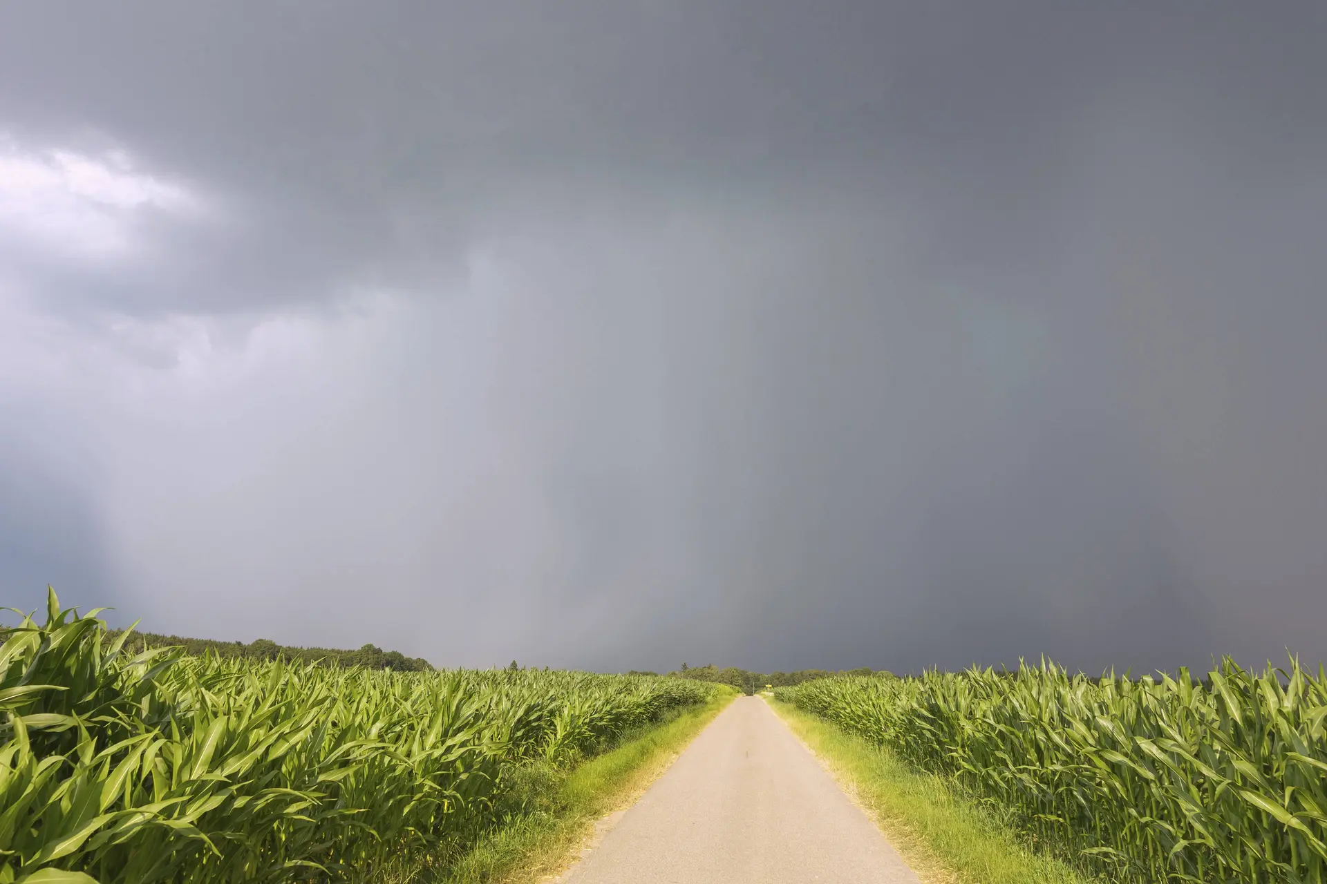 Het is bizar windstil dit jaar: dit is de reden