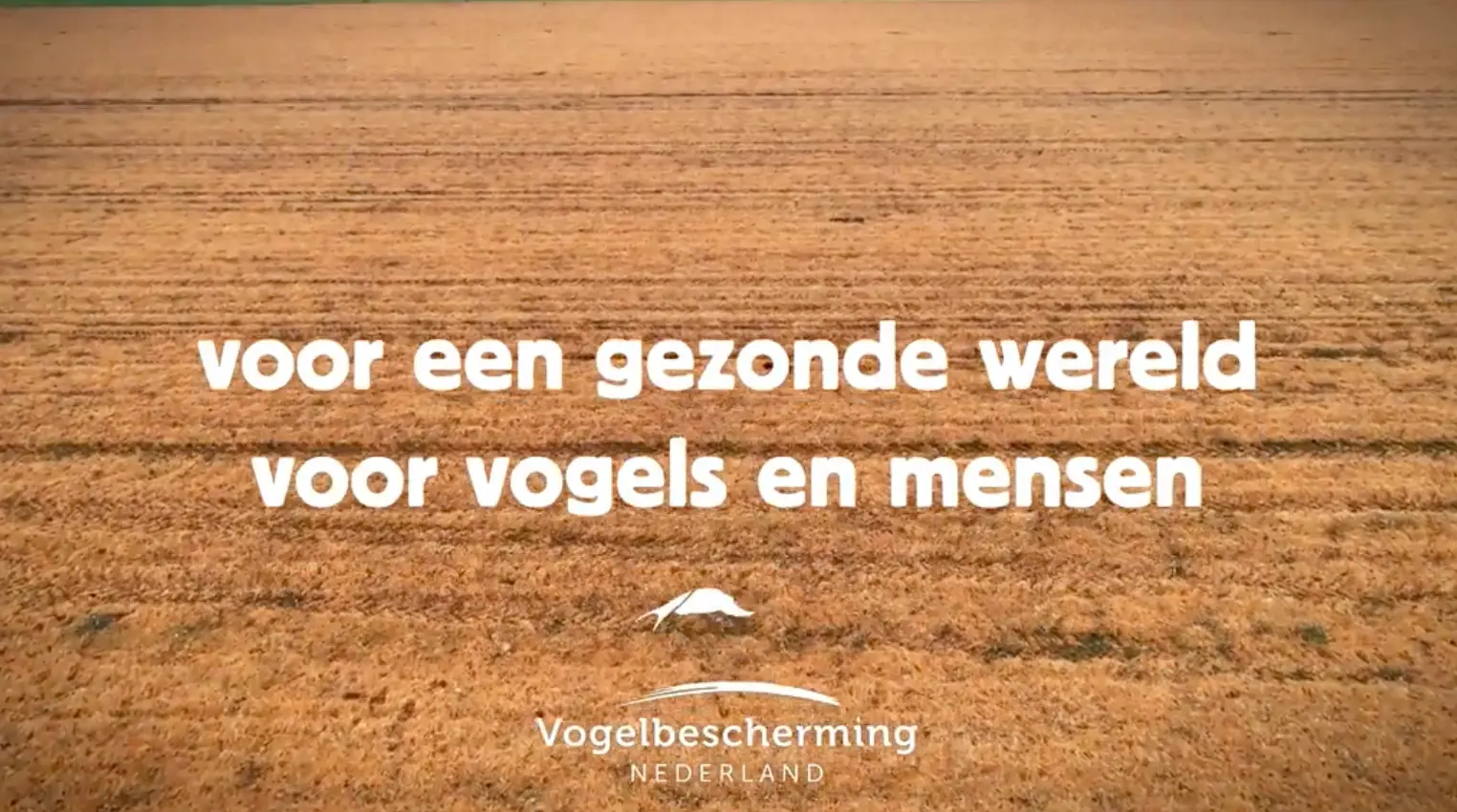 Protest helpt: Roundup bijna verdwenen?