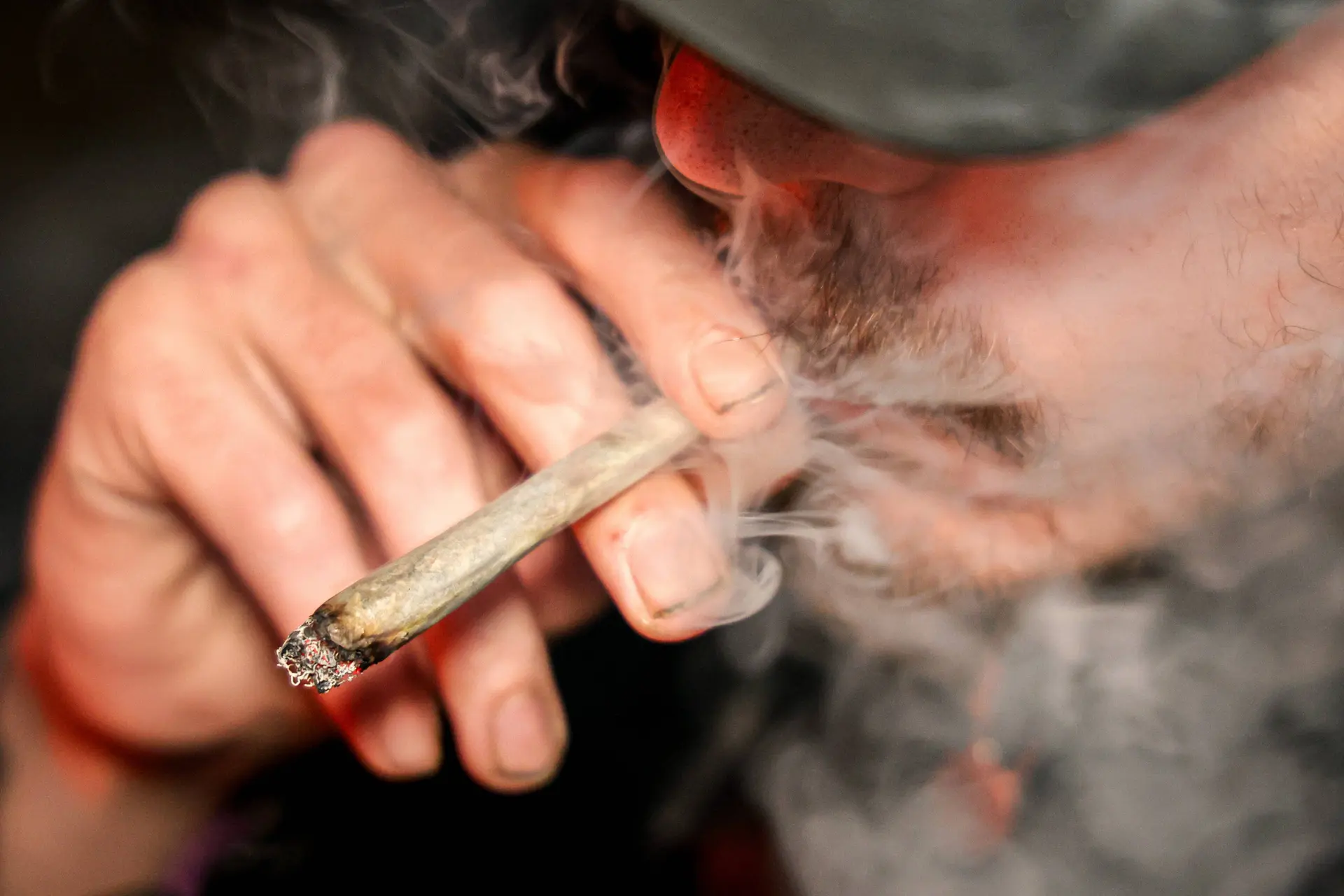 Onschuldig? Van cannabis ga je gemiddeld eerder dood