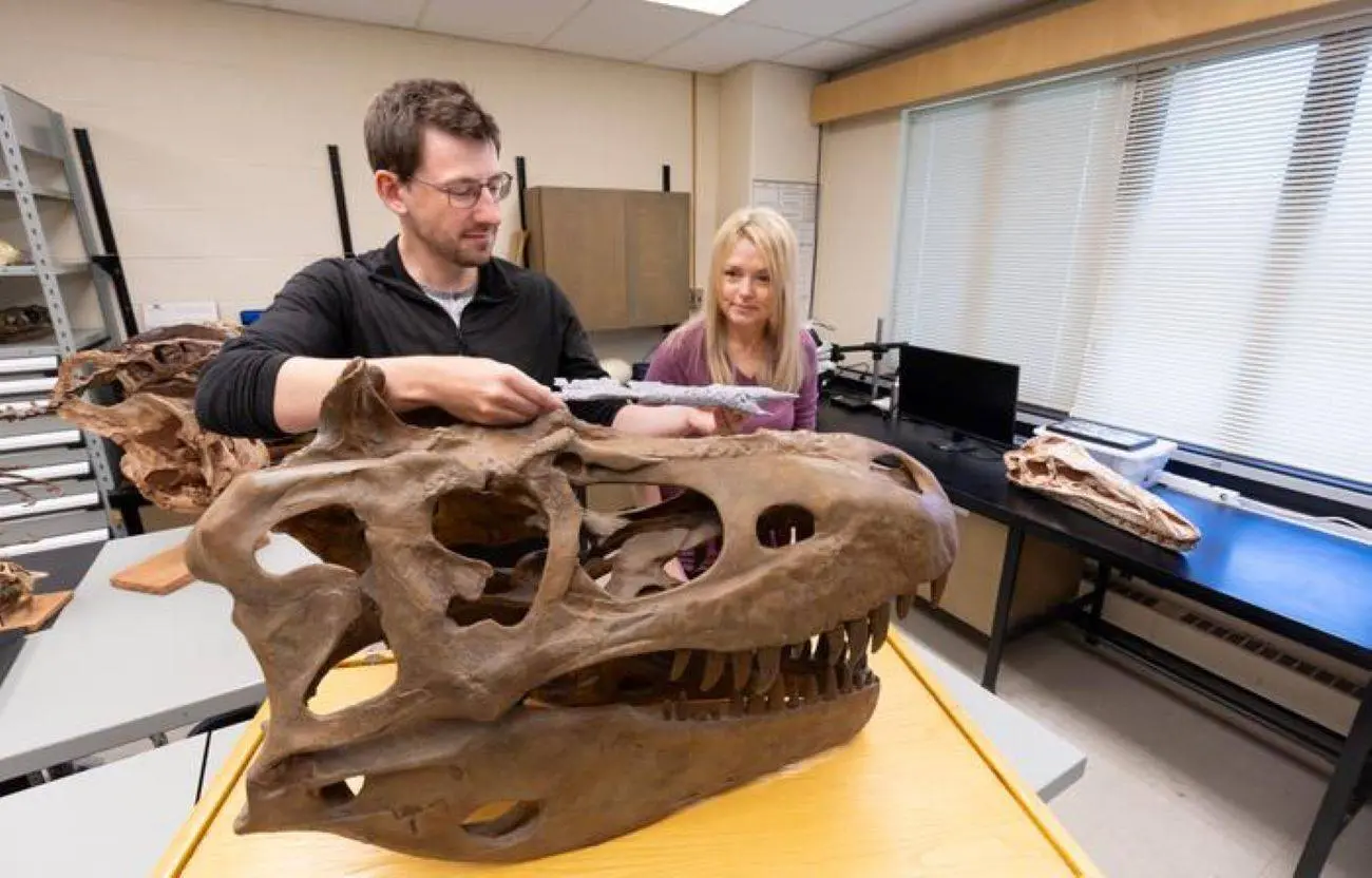 Ontdekking in de woestijn onthult 'Prins der Draken': de voorouder van de T-Rex