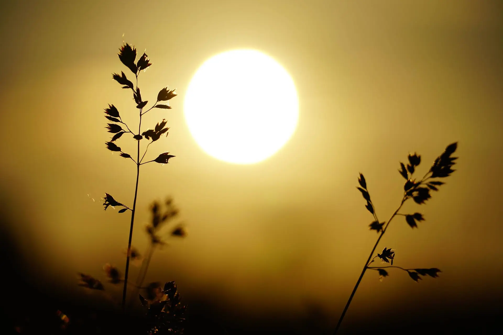 We hebben de kracht van de zon zwaar onderschat en dat verklaart veel