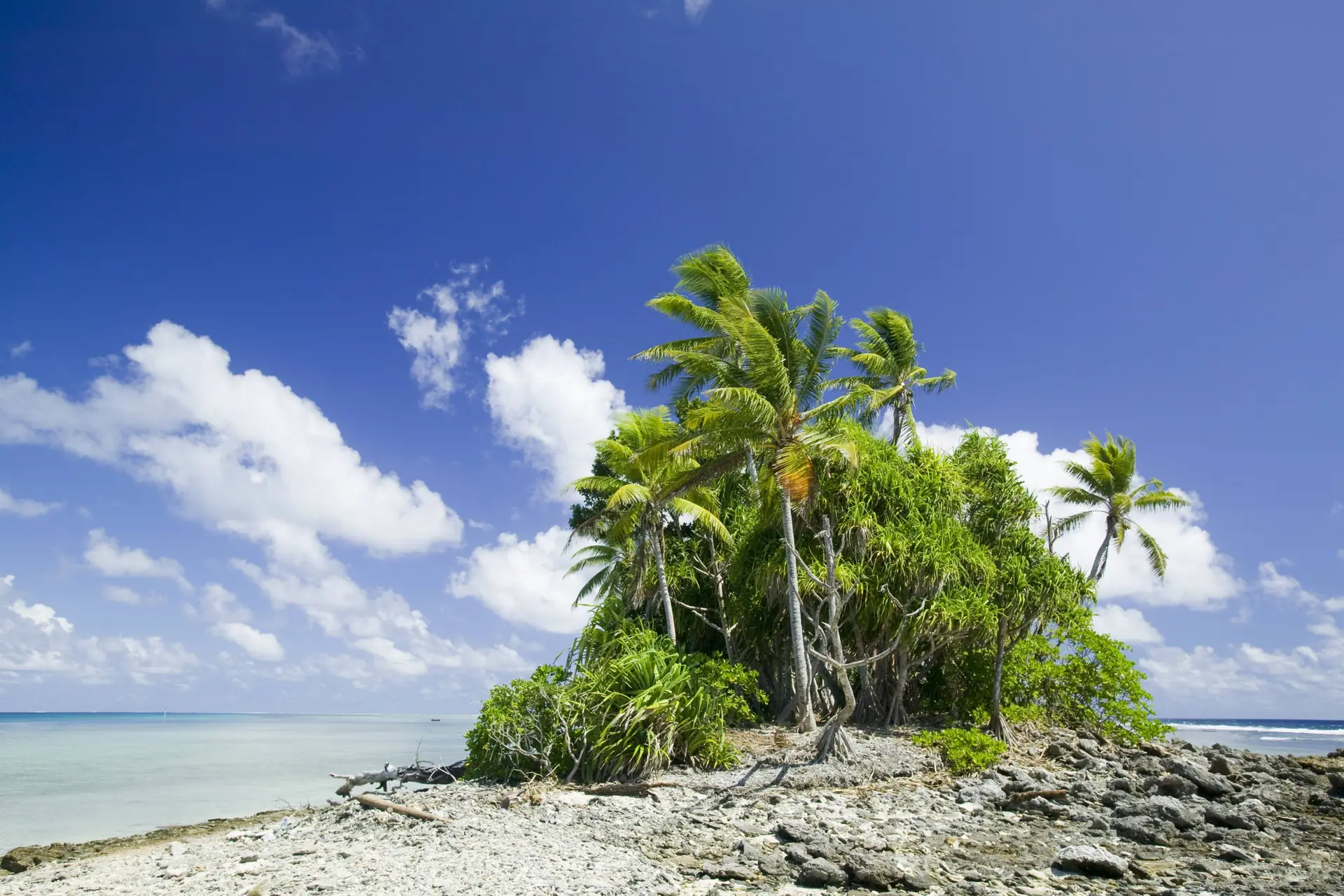 Tuvalu verdwijnt onder water: een derde van de bevolking wil klimaatvisum van Australië
