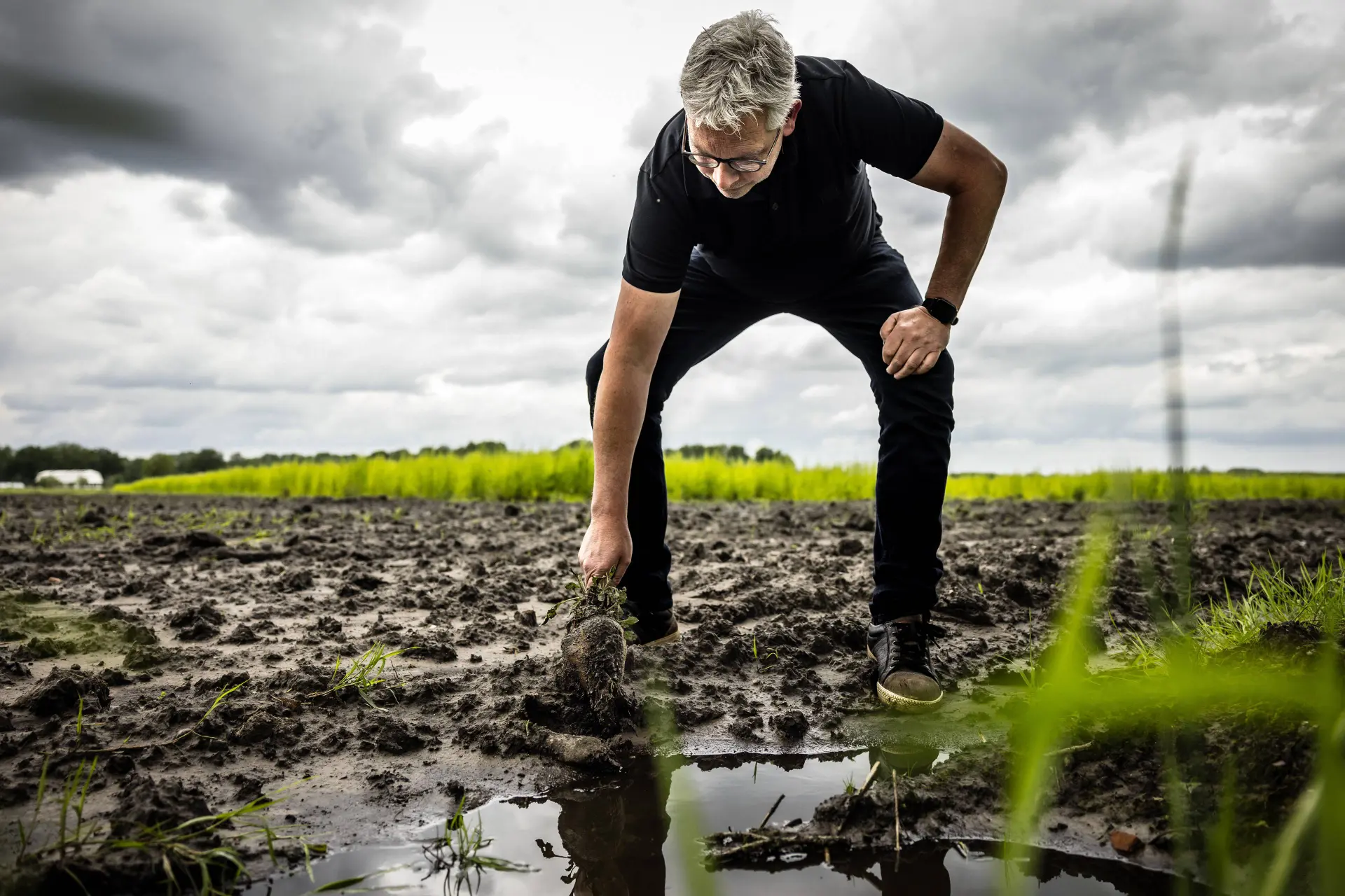 Het klimaat maakt eten peperduur: deze producten pieken door weersextremen