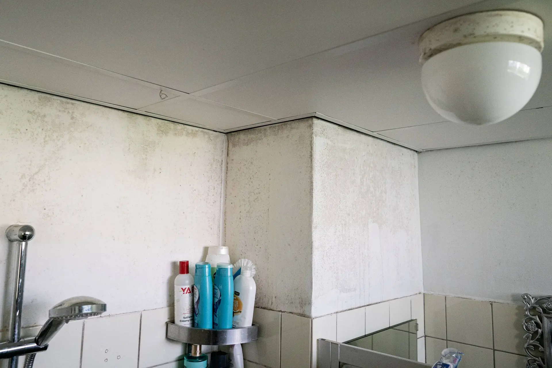 Zo krijg (en houd) je de badkamer gegarandeerd schimmelvrij: "Als je een huurwoning hebt, moet de verhuurder dat voor je regelen"