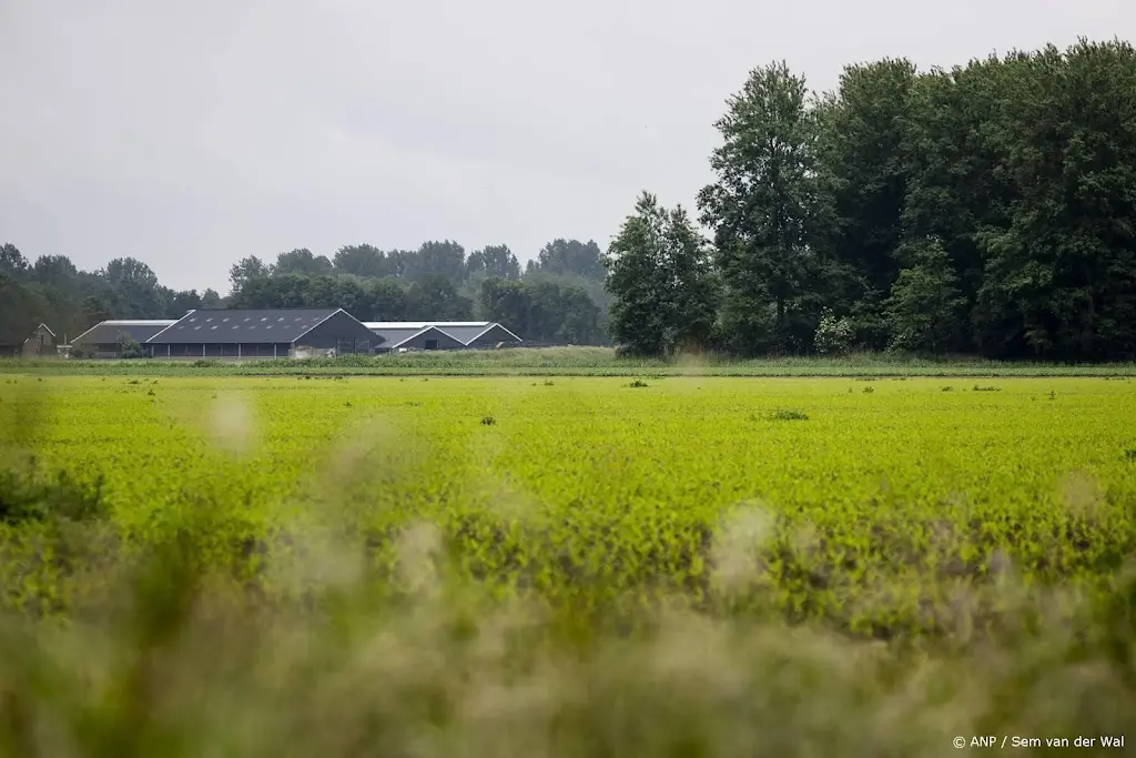 Helft arbeidsmigranten platteland na zes jaar nog in Nederland