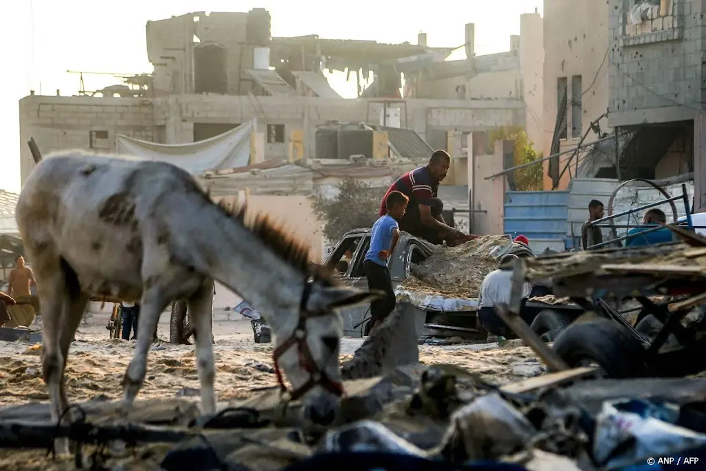 PAX: dodental van 60.000 in Gaza 'schrijnend en onuitlegbaar'