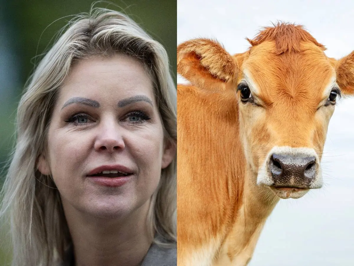 Omdat minister Wiersma niks doet hebben de boeren zelf een stikstofplan gemaakt