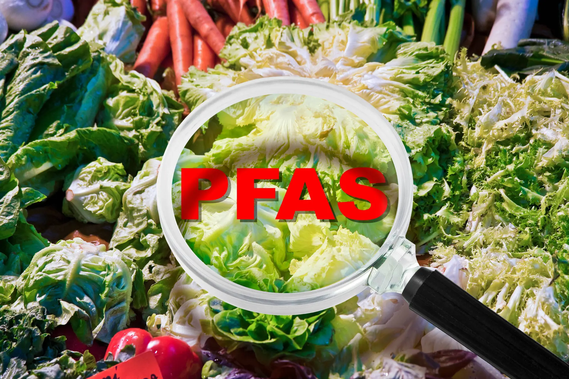 PFAS-crisis in Nederland: Iedereen heeft 'Forever Chemicals' in het bloed