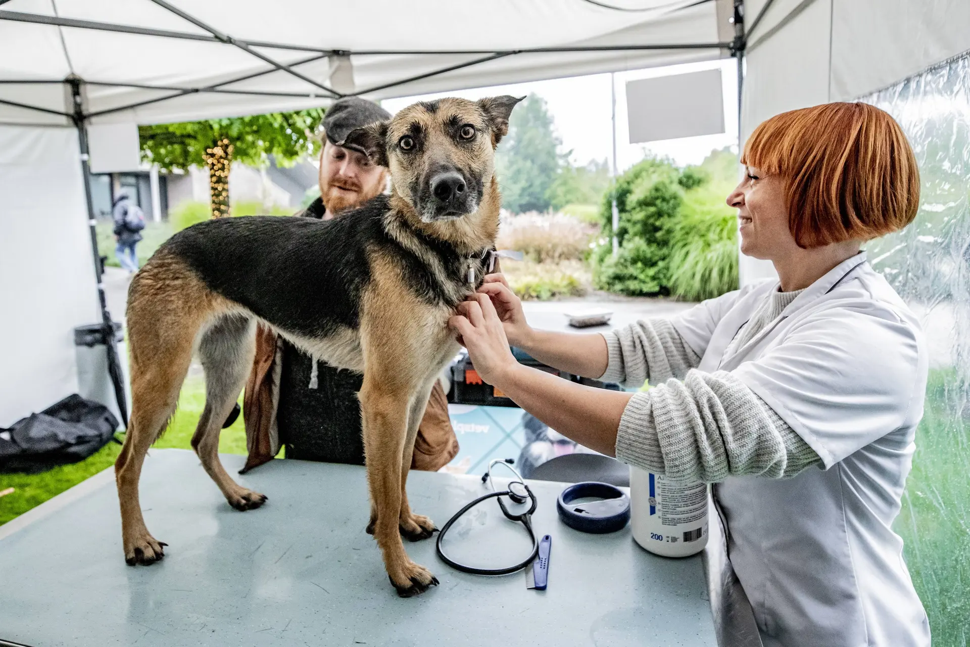 Zo help je je hond van verlatingsangst af