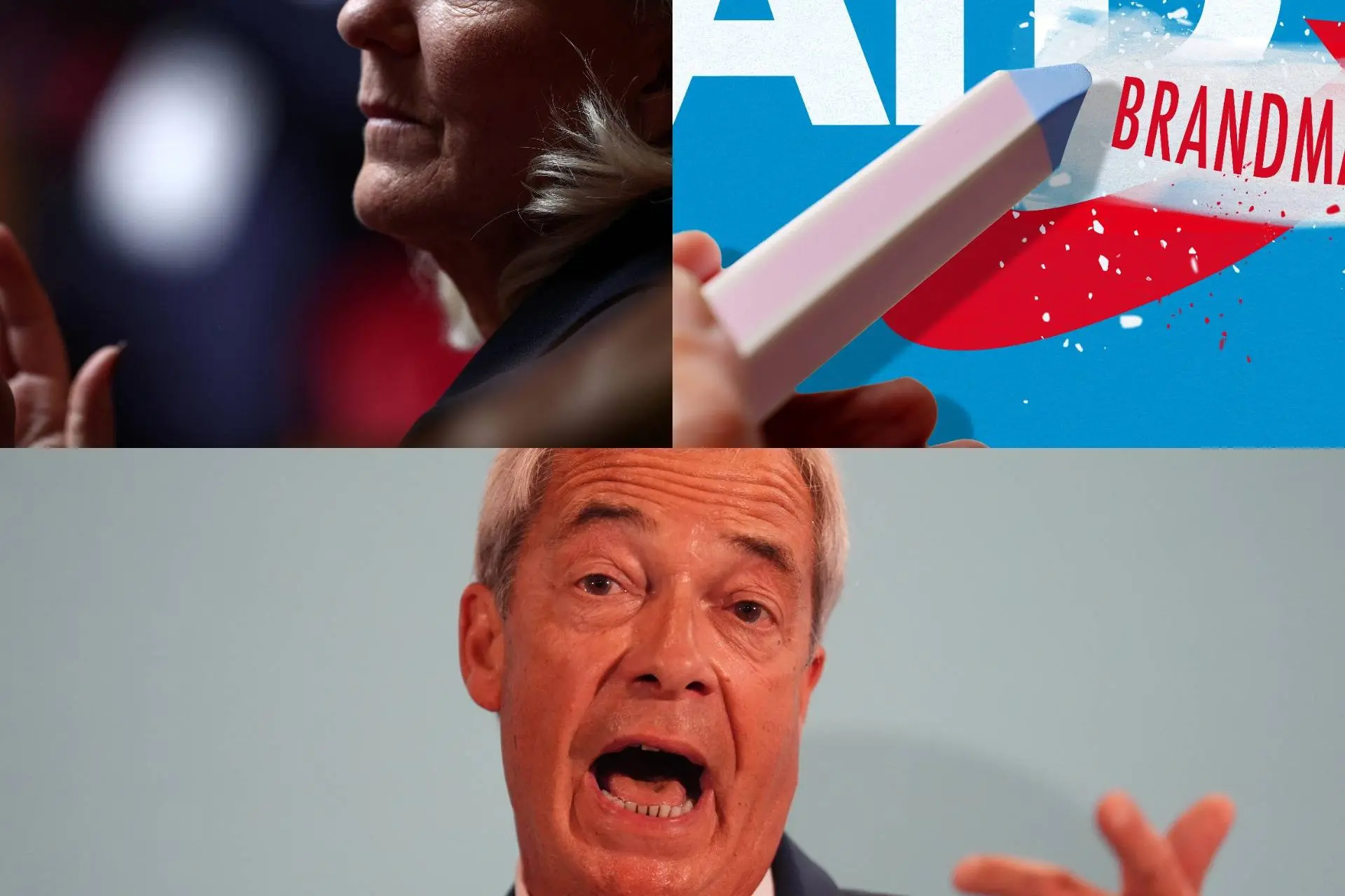Populistische partijen leiden peilingen in Frankrijk, Engeland en Duitsland. Waarom?