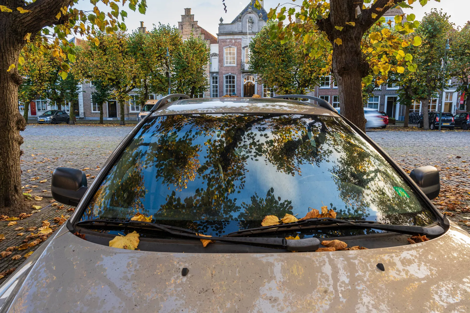 Dit is waarom er zwarte puntjes langs je autoruit zitten