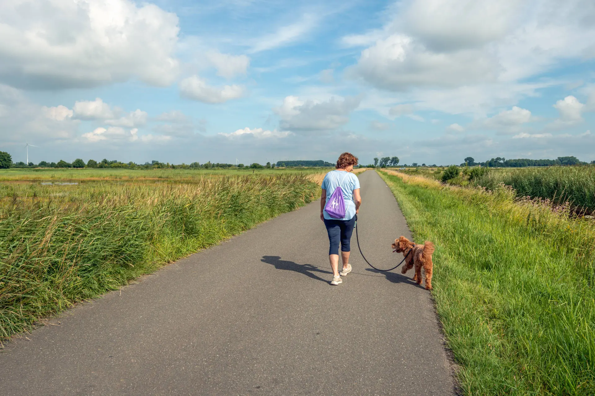 Waarom langzamer sporten gezonder is dan jezelf uitputten