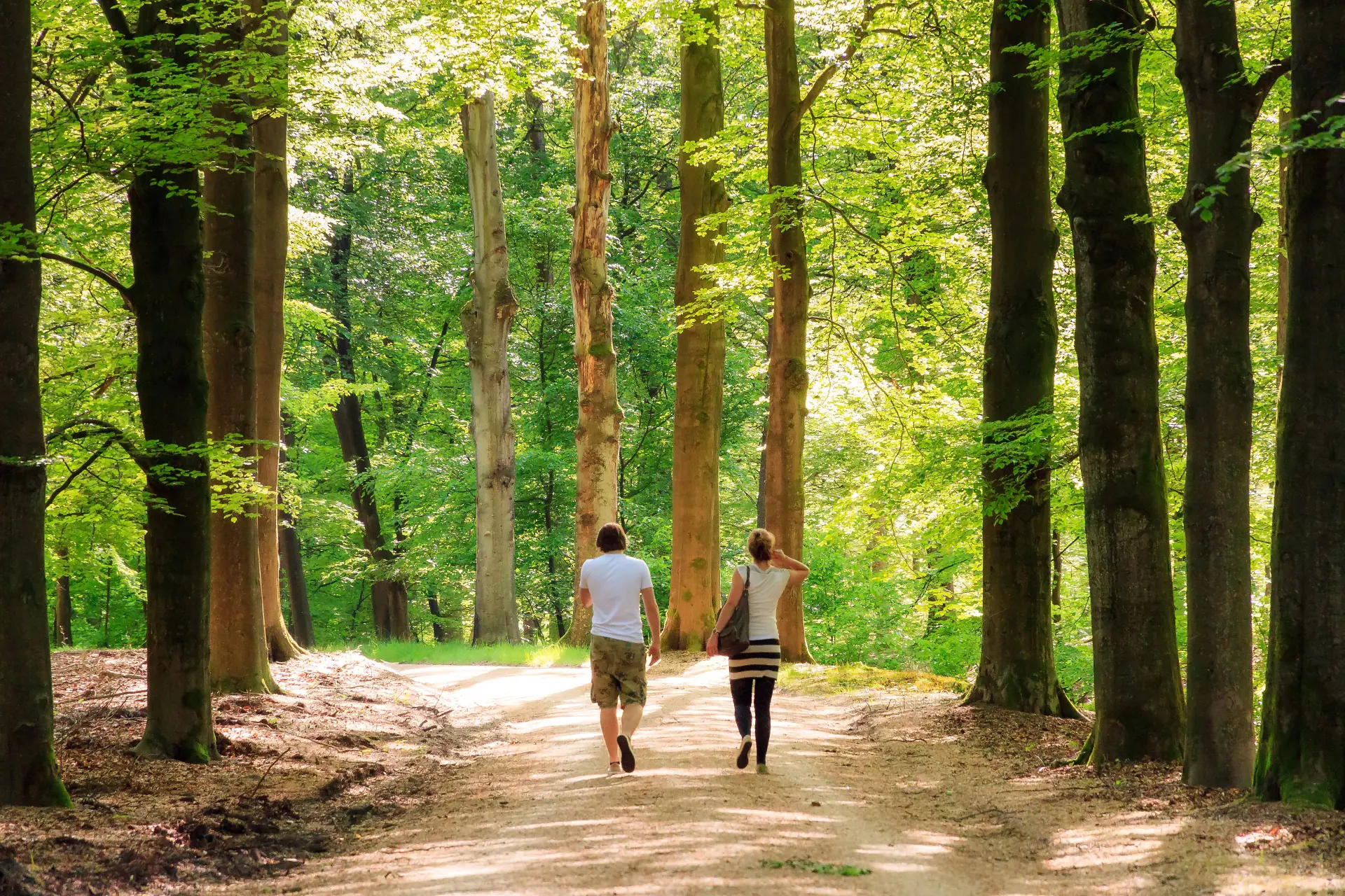 Wandelen is gezond. Achteruit wandelen nog gezonder
