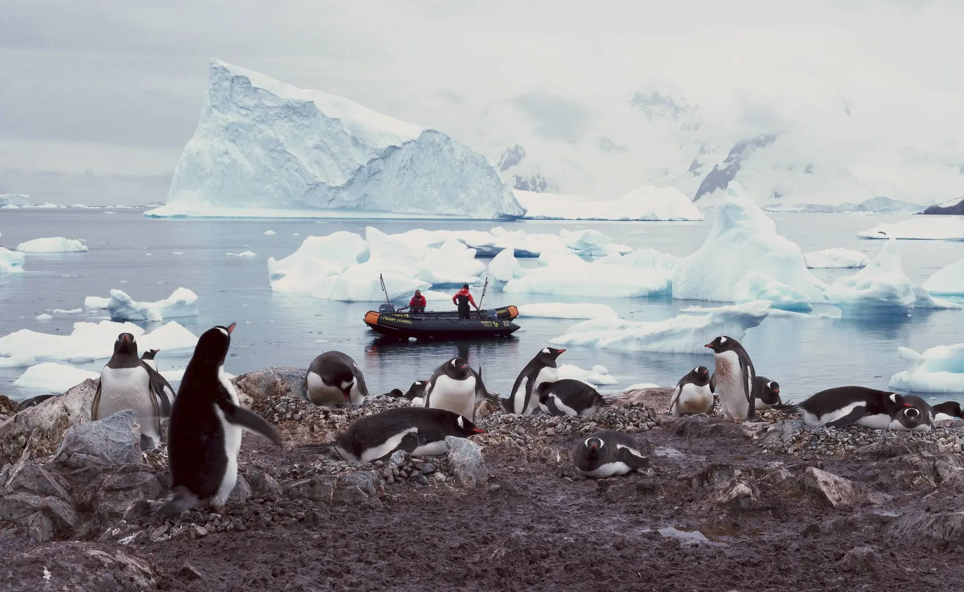 Het is misschien al te laat om Antarctica te redden