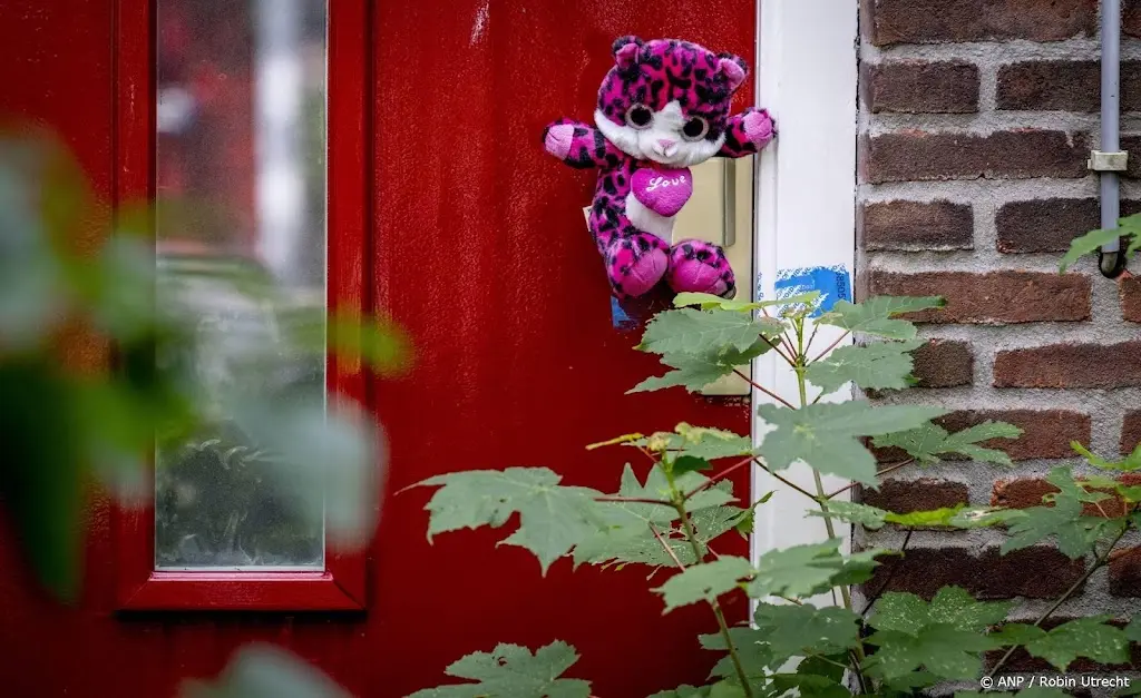 Vlaardings pleegmeisje heeft 24 uur per dag zorg nodig