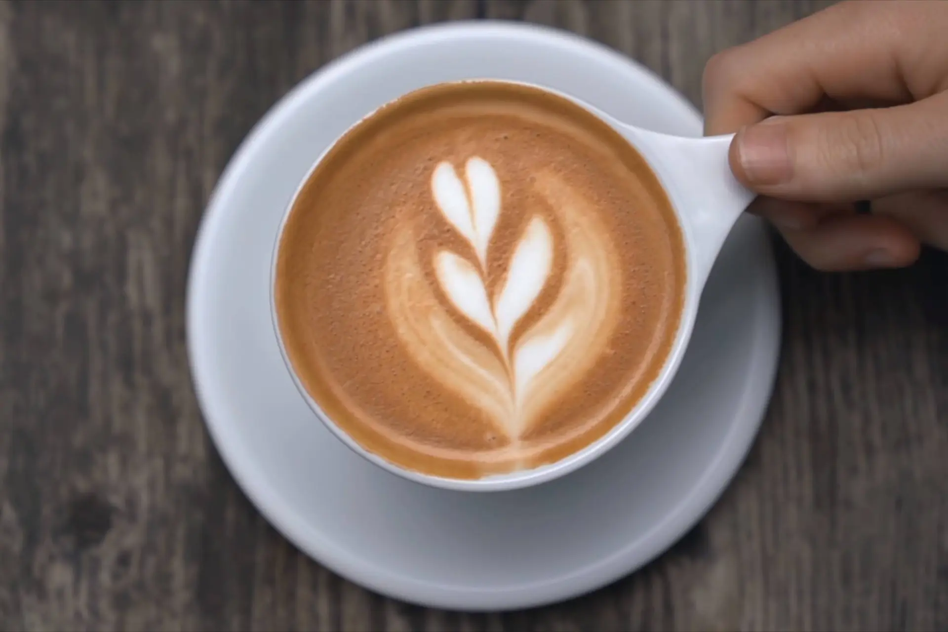 Drie tot vier koppen koffie per dag kunnen je cellen jonger houden