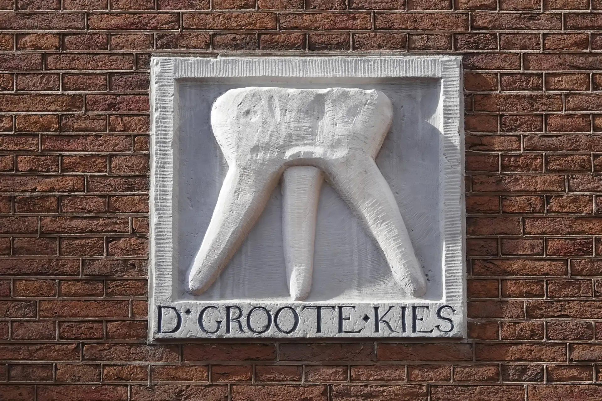 Waarom hebben we eigenlijk verstandskiezen (en waarom zitten ze ons nu vooral dwars)?