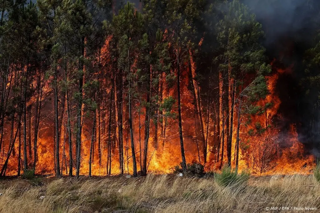 KNMI presenteert extreme klimaatscenario's: Nederland moet zich voorbereiden