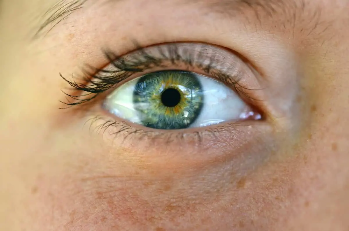 eyes-10