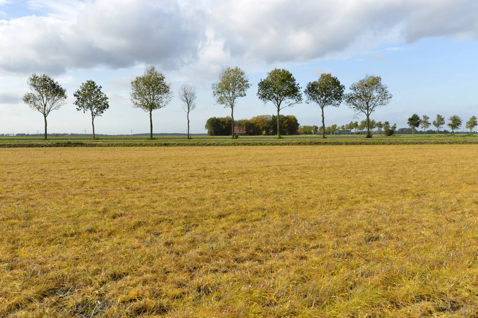 Veel gebruikte pesticide opnieuw in verband gebracht met fors hogere kans op Parkinson