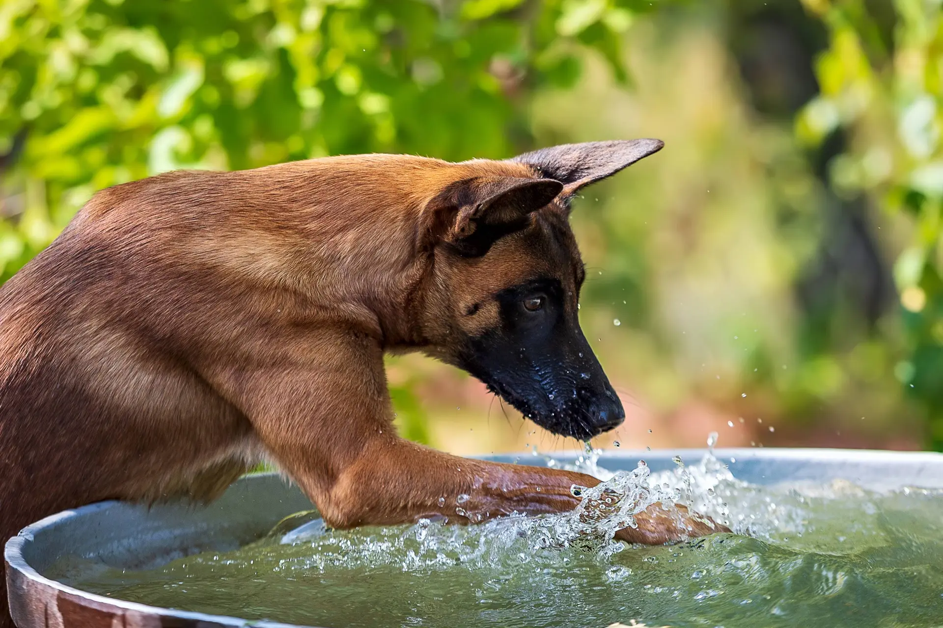 shutterstock_1638624178
