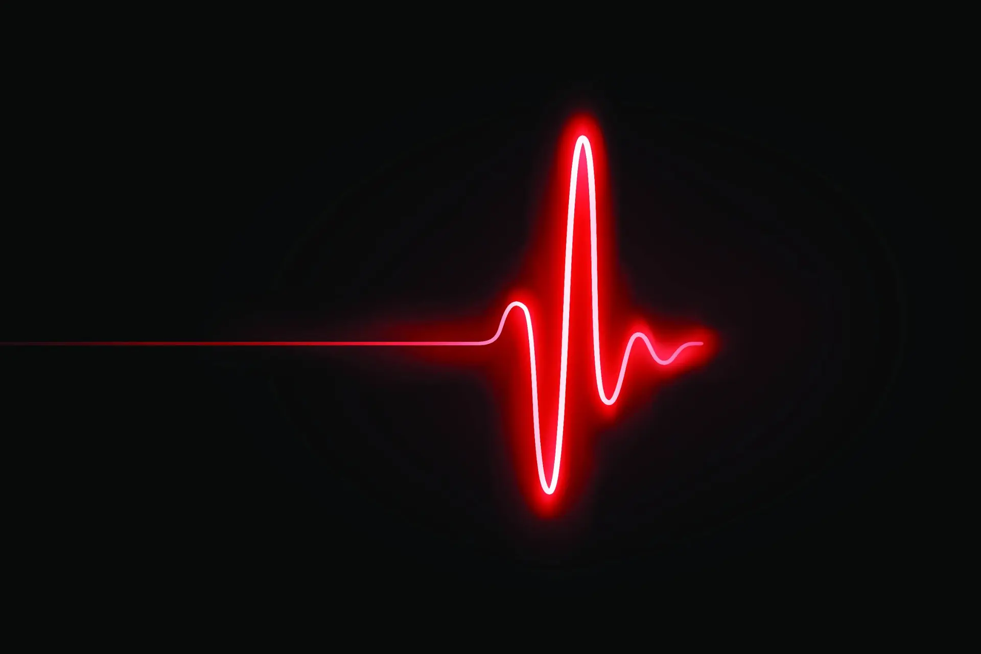 shutterstock_2732464761