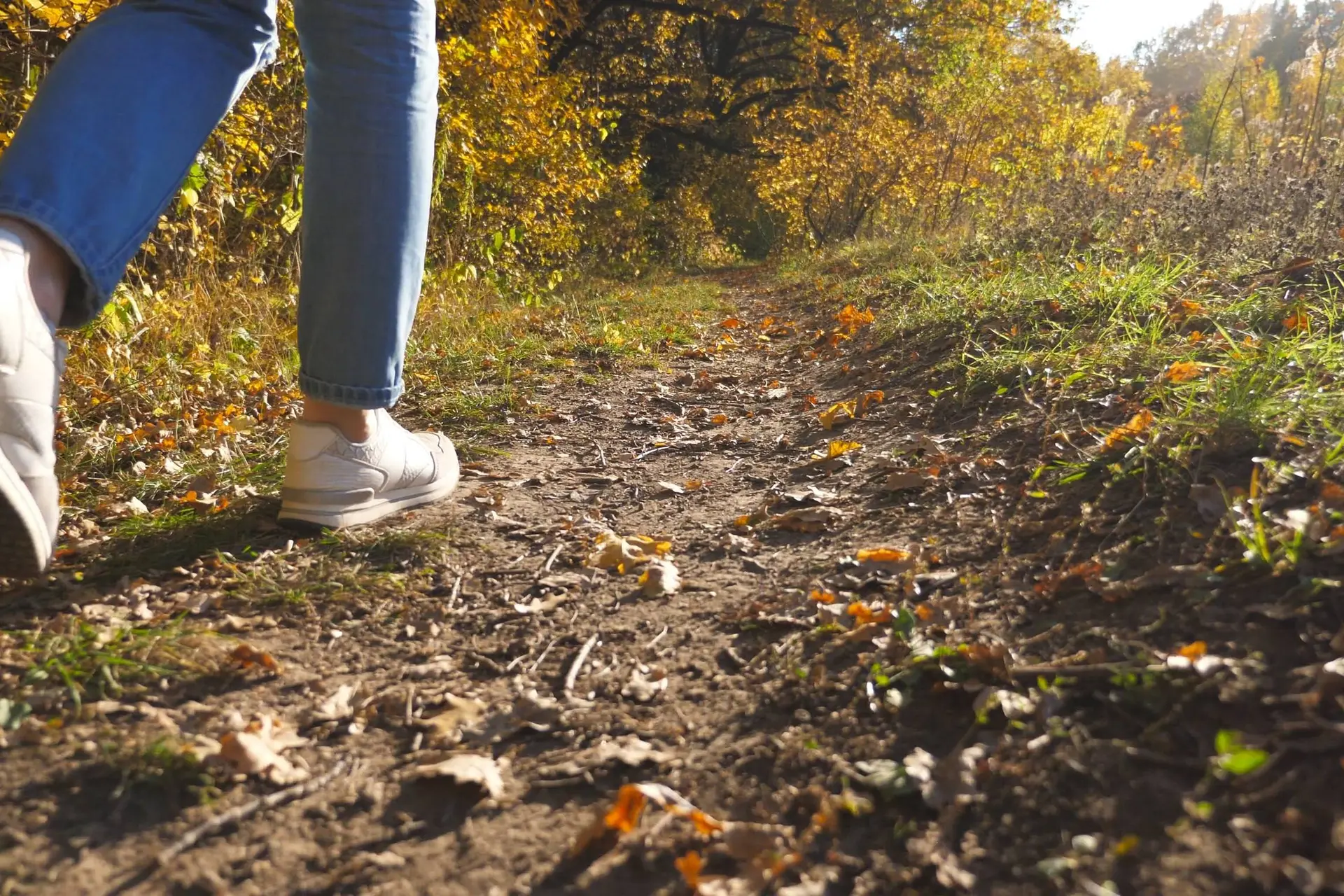 Waarom stevig wandelen beter voor je gezondheid is dan een intensieve training, volgens neuropsycholoog