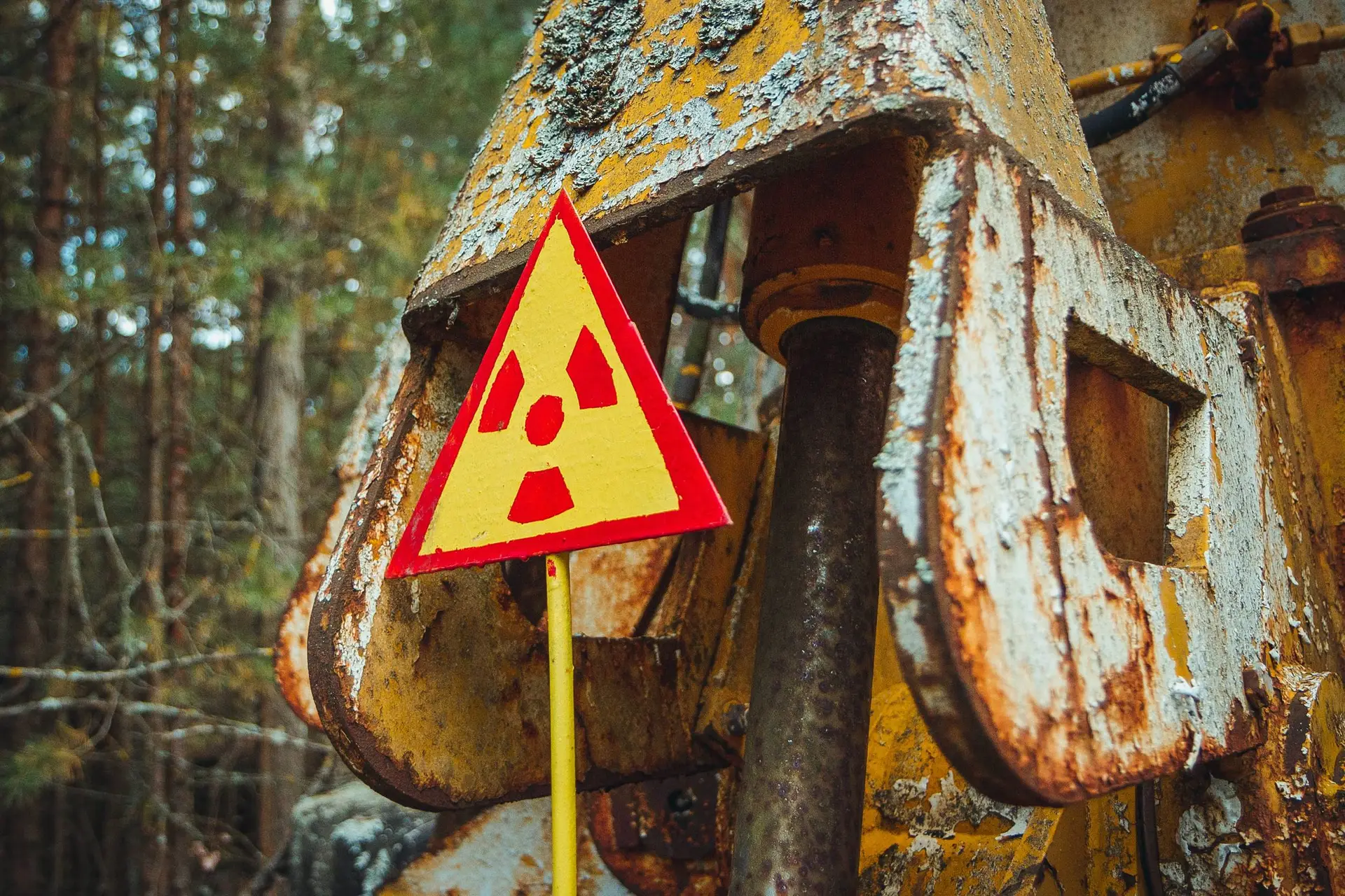 Een geel waarschuwingsbord voor straling staat tussen de bomen in de sperzone rond Tsjernobyl.