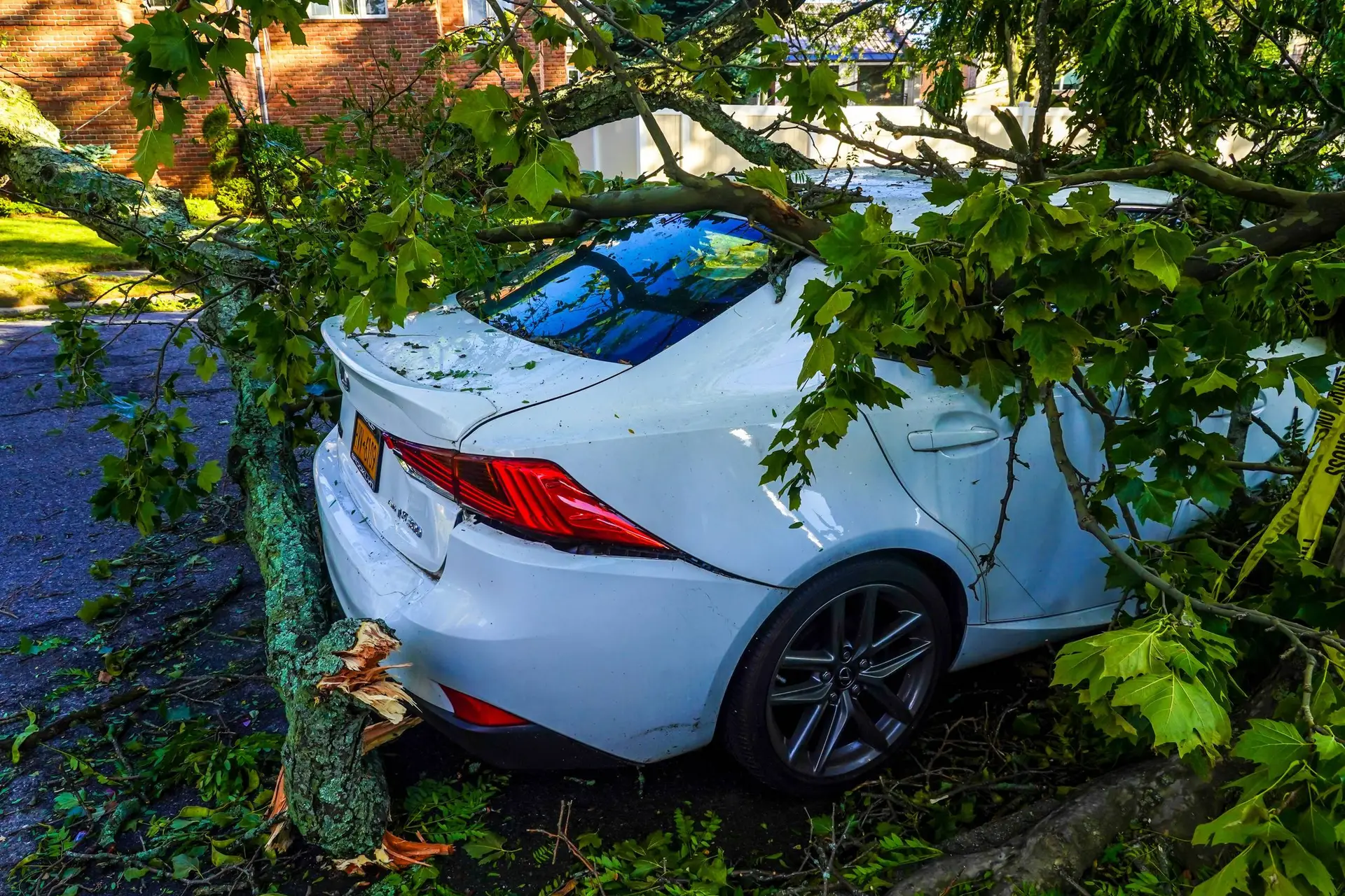Vallende bomen beschadigde elektriciteitslijnen, trottoirs en auto in de nasleep van zwaar weer