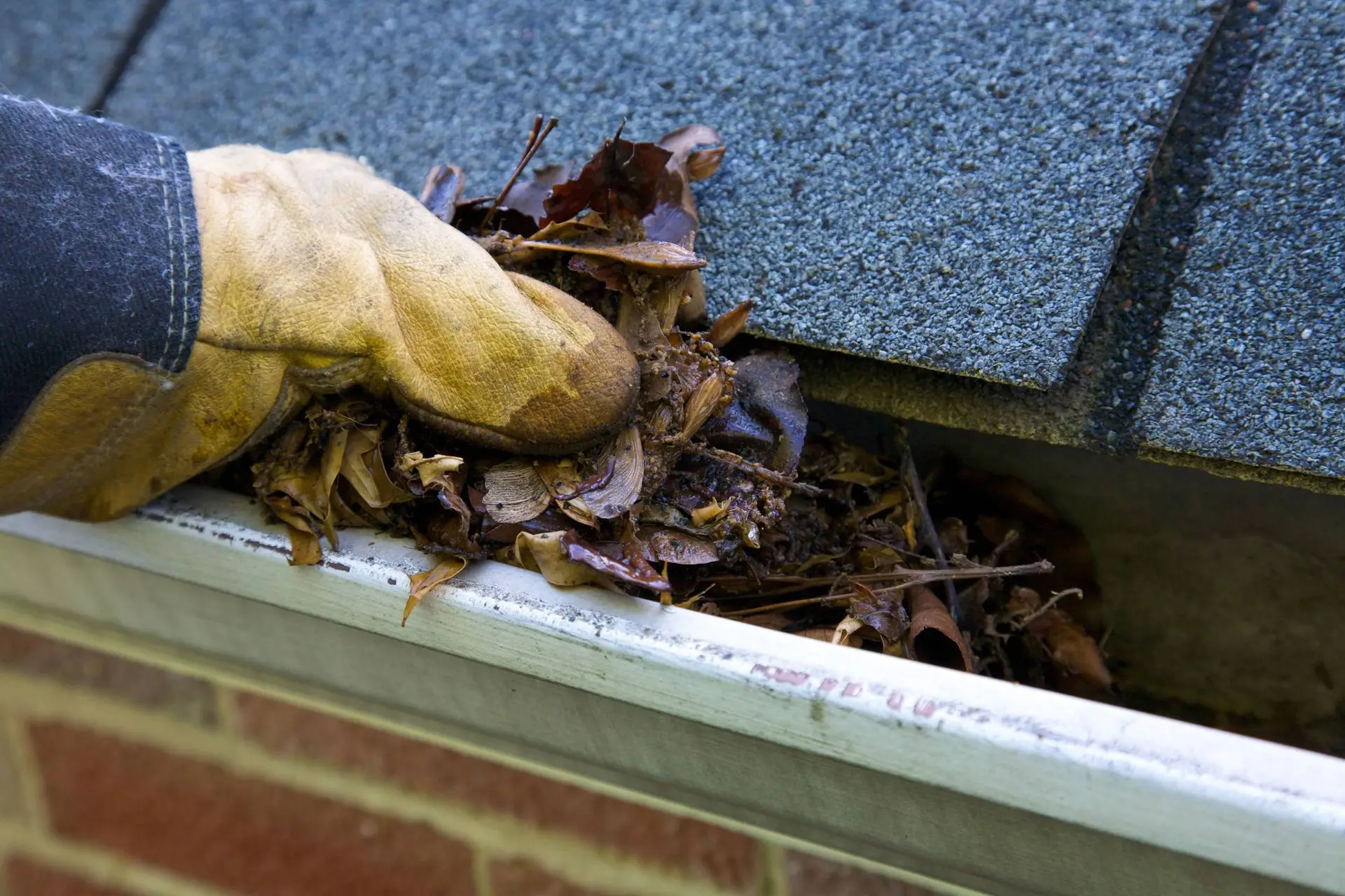 Een dakgoot vol natte herfstbladeren waar regenwater over de rand loopt.