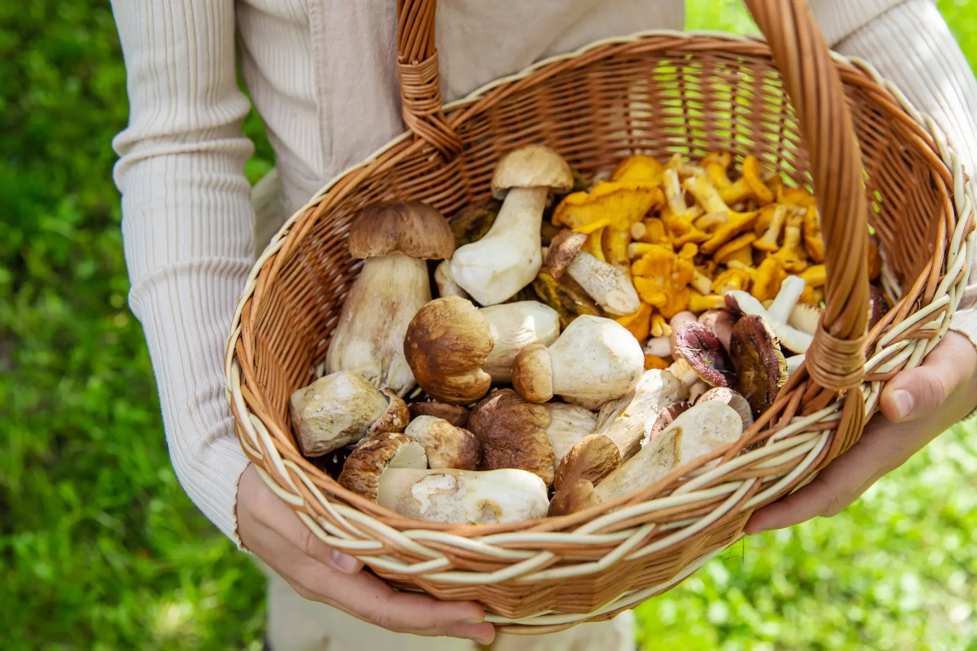 shutterstock_2807398171