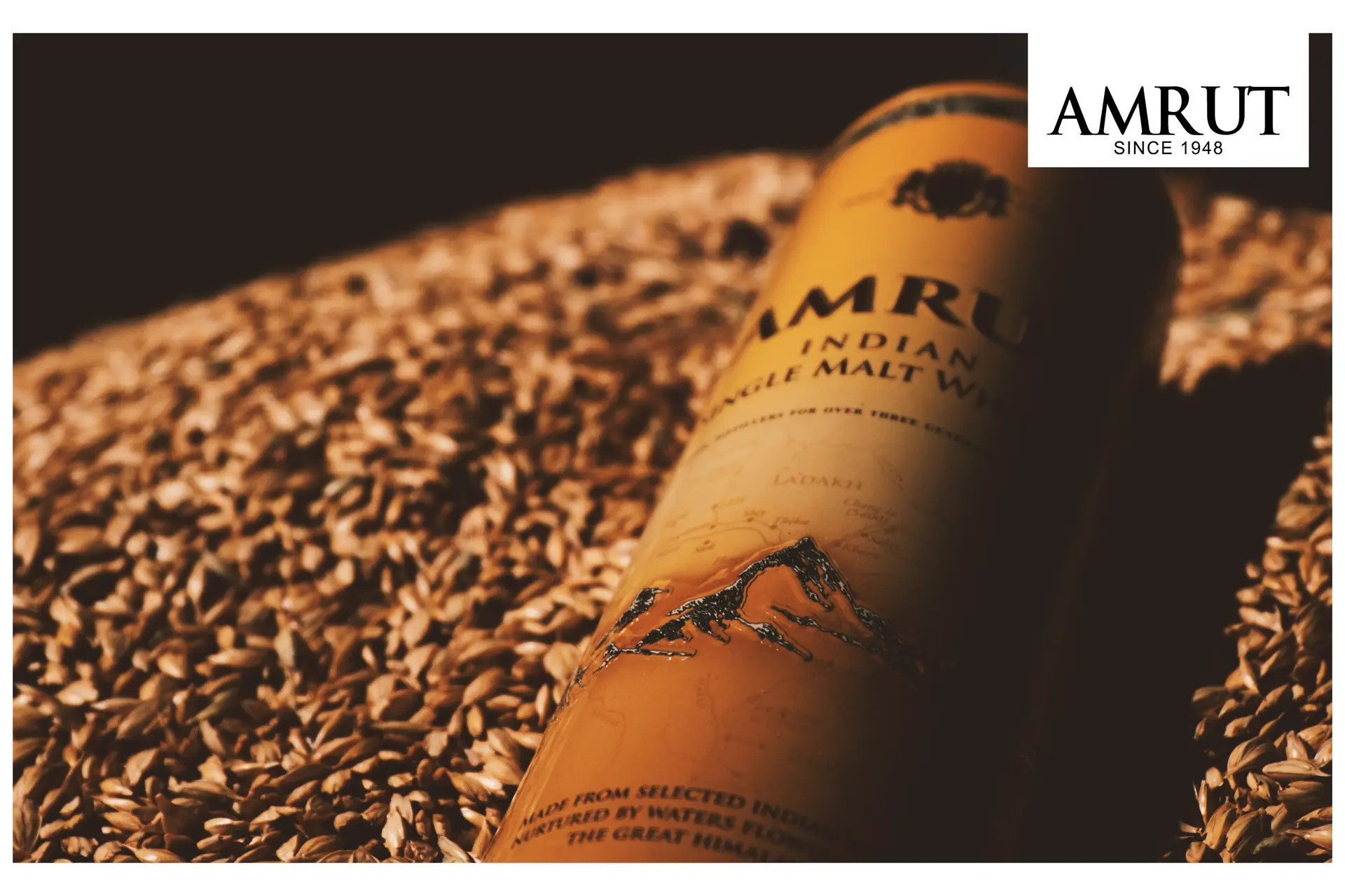 amrut whisky