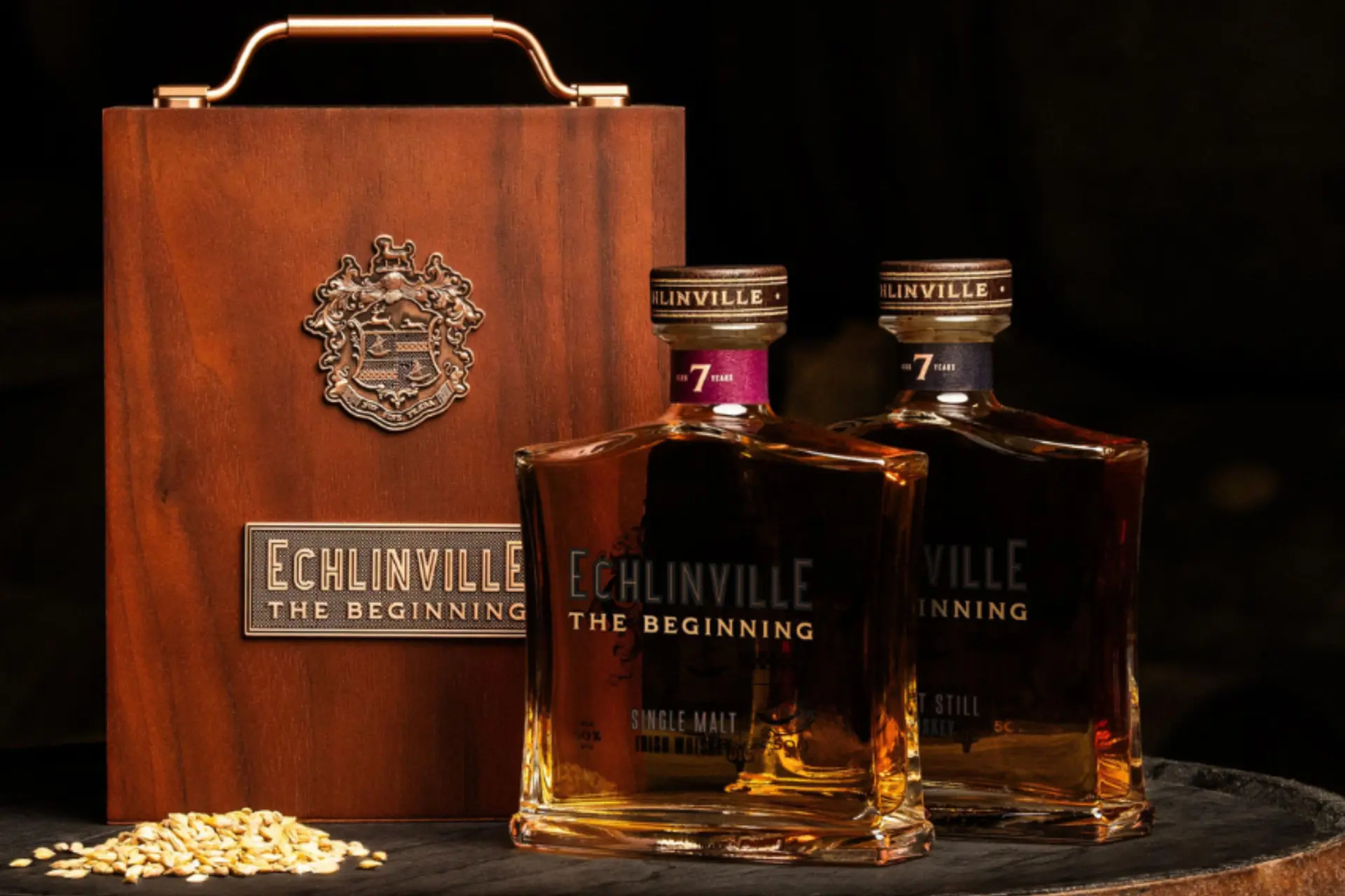 echlinville the beginning