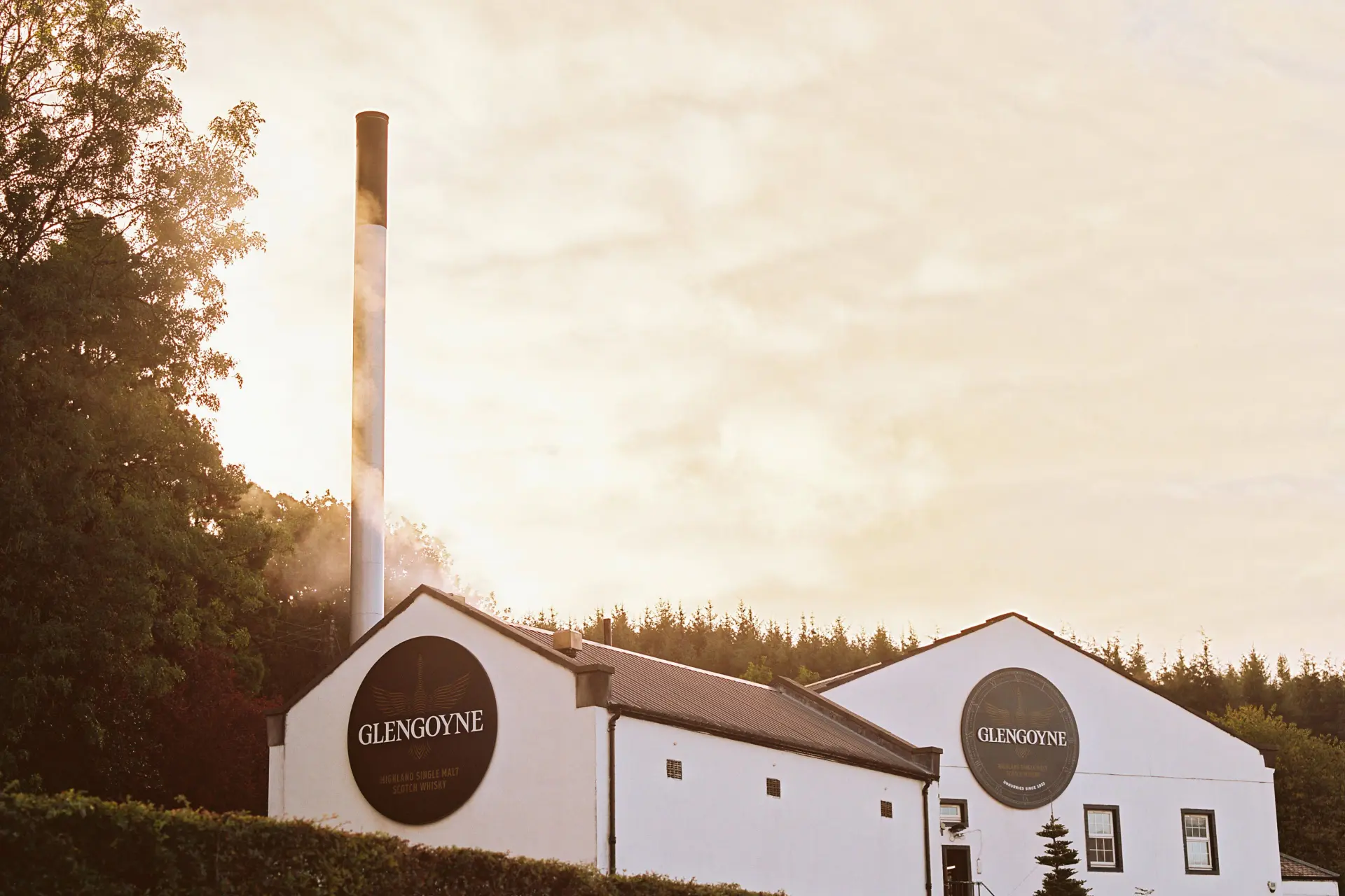 Distilleerderij Donderdag: Glengoyne