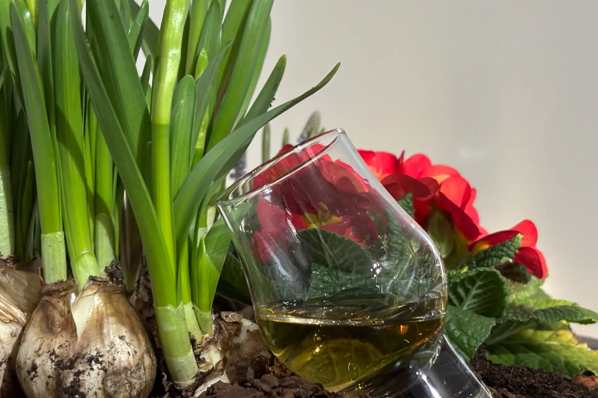 Abrikoos, bloemen en wat pit vormen de Cromlech 2022 single malt whisky (Review)