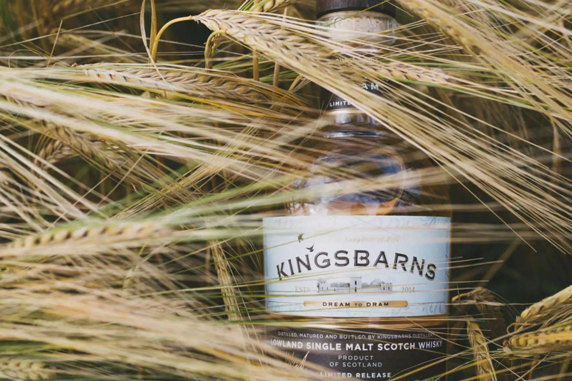 Deze 10 Lowlands whisky's zijn aanraders om nu nog te kopen of om cadeau te doen
