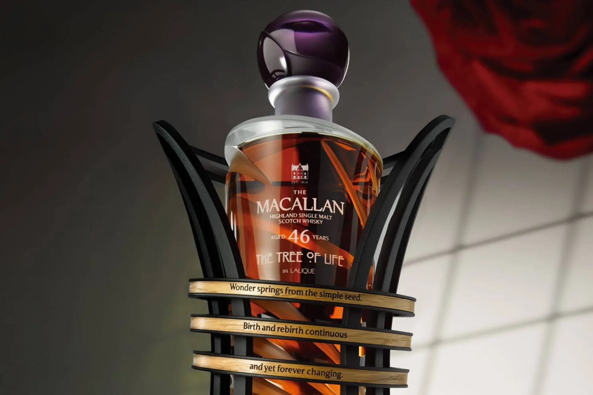 Nieuwe 46-jarige The Macallan whisky uitgebracht: Tree of Life