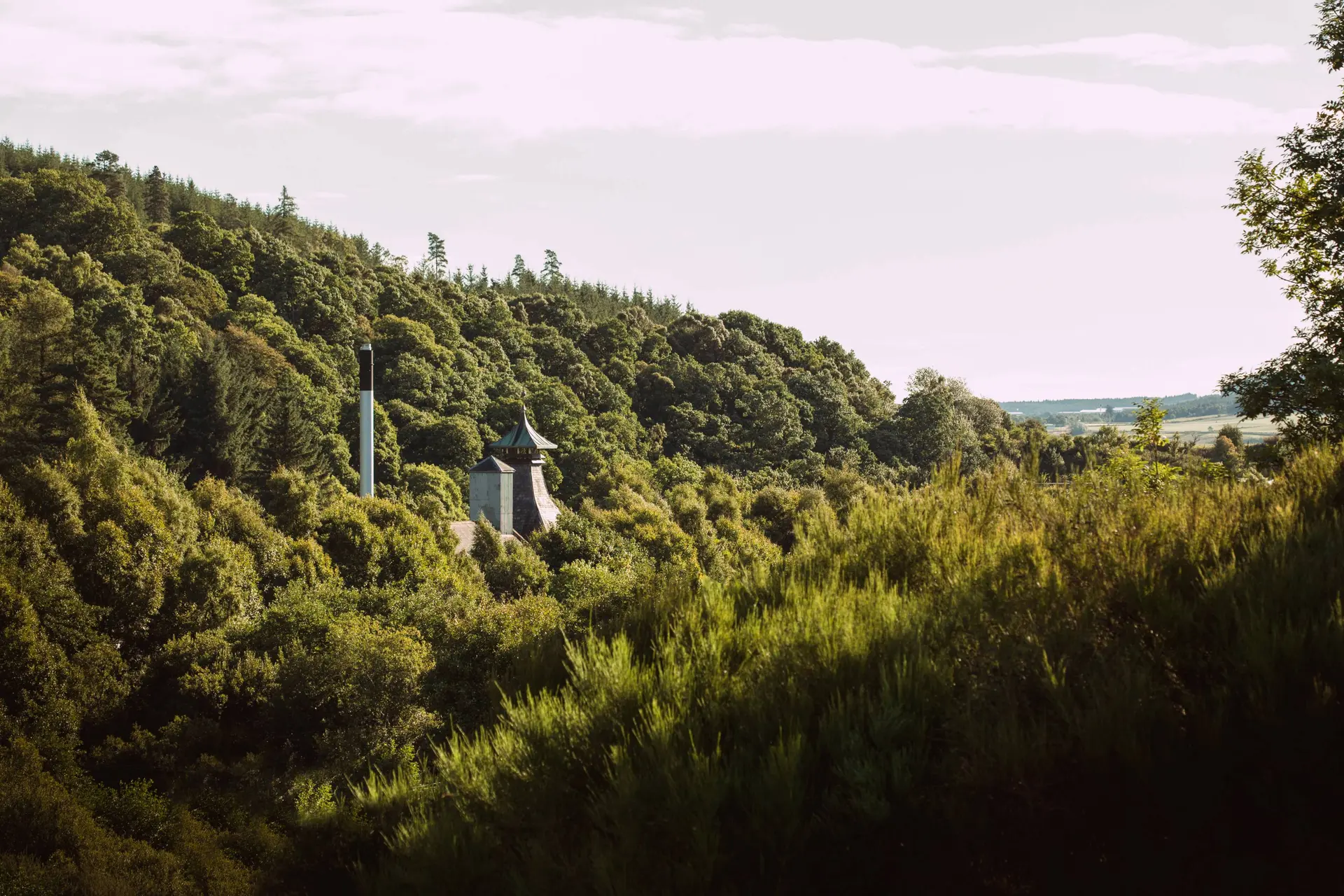 Speyburn Distillery: de whisky die voor 1888 geboren moest worden (Distilleerderij Donderdag)