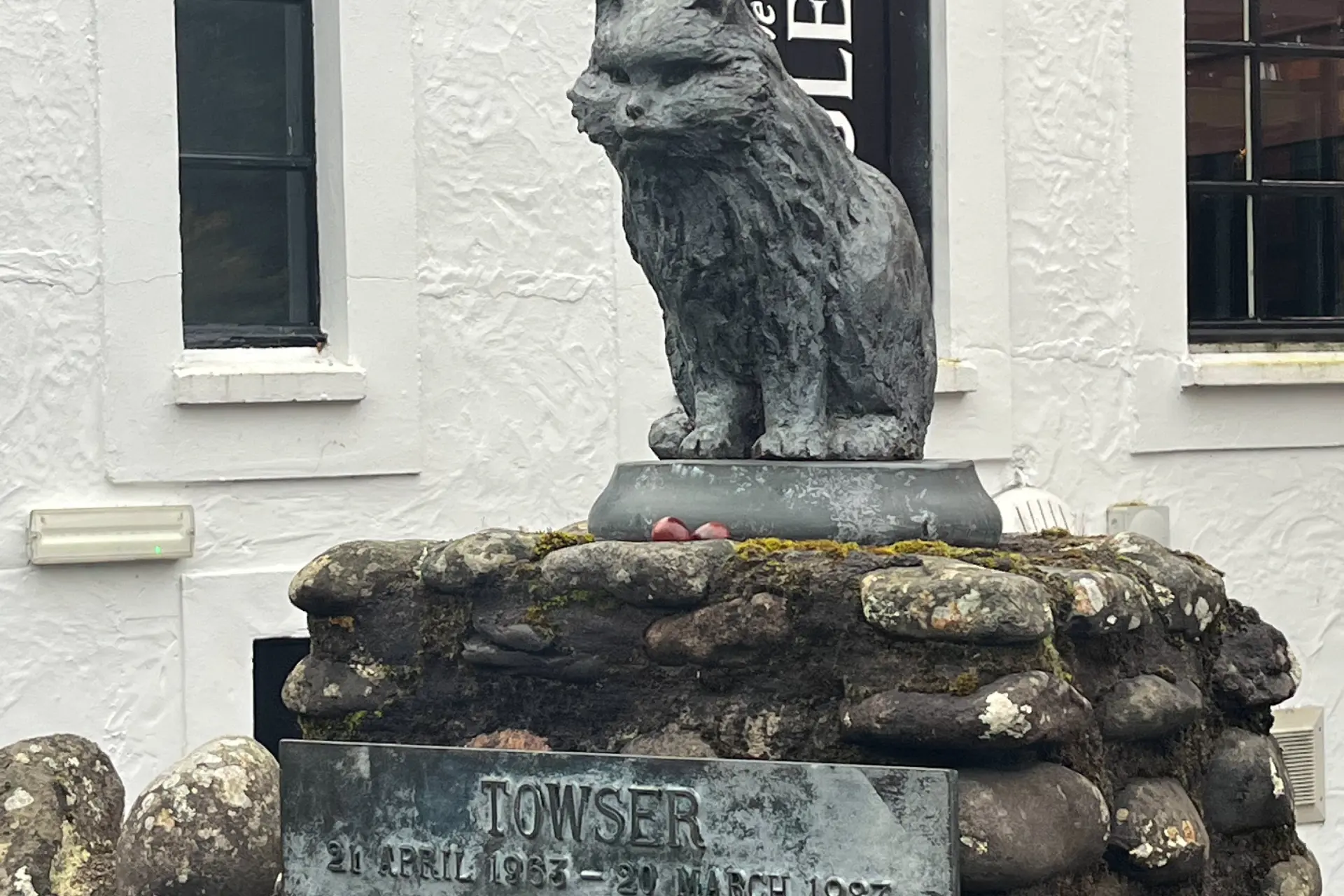 Did You Know Something Peculiar Happens with Cats at Distilleries?
