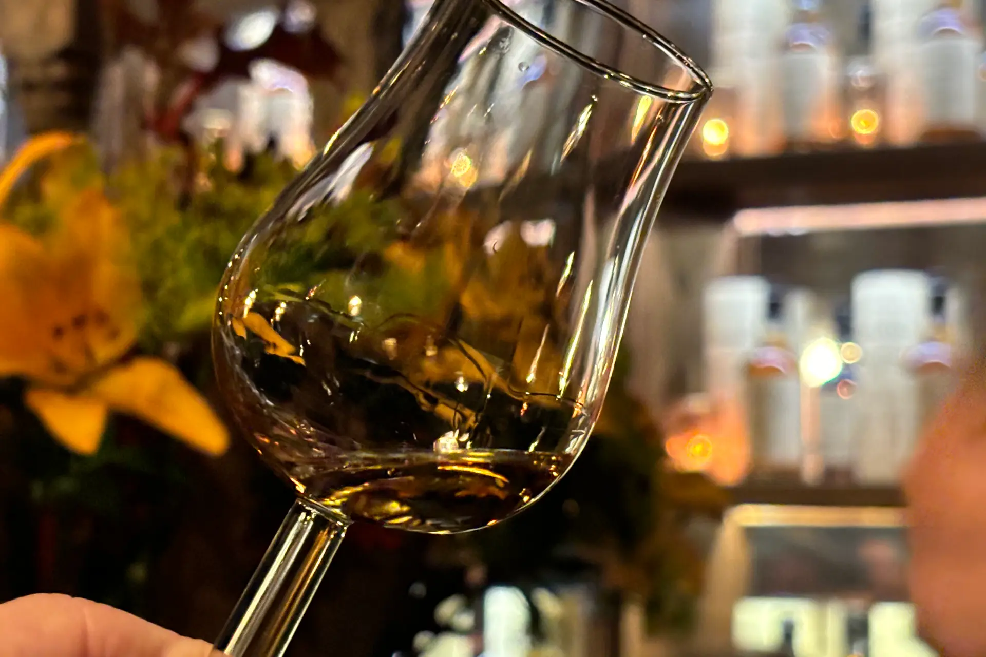 How to Taste Whisky Correctly