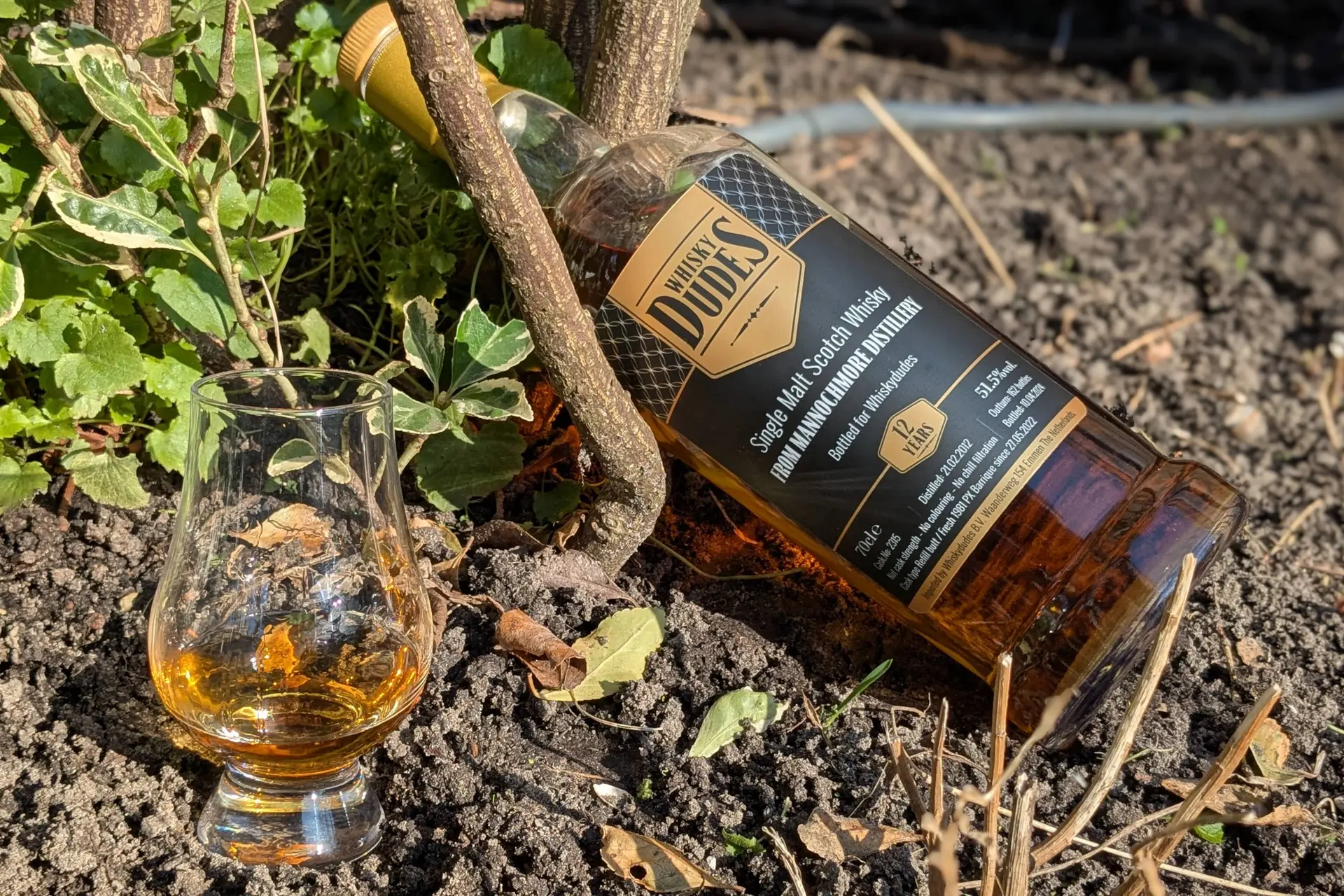 Mannochmore 12 Years Whiskydudes Review: A Taste of Brown Sugar, Plums, and Beyond
