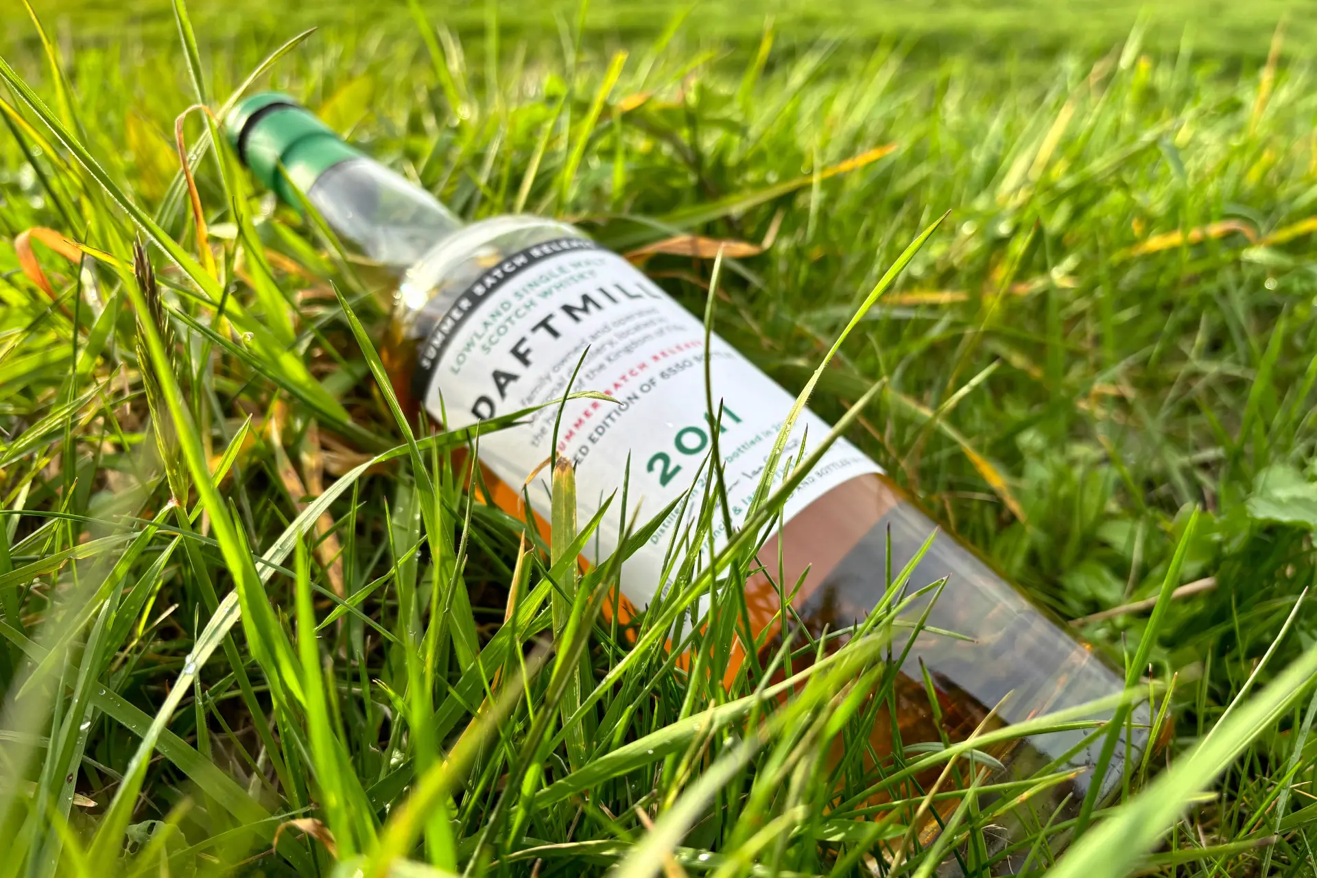 Daftmill 2011 Summer Batch Release Whisky Review: 'Green APples and Crispy Fruits'