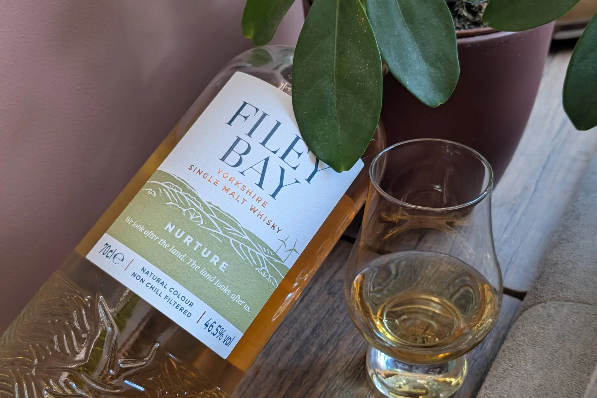 Review: Filey Bay Is Making the World a Better Place, One Field at a Time