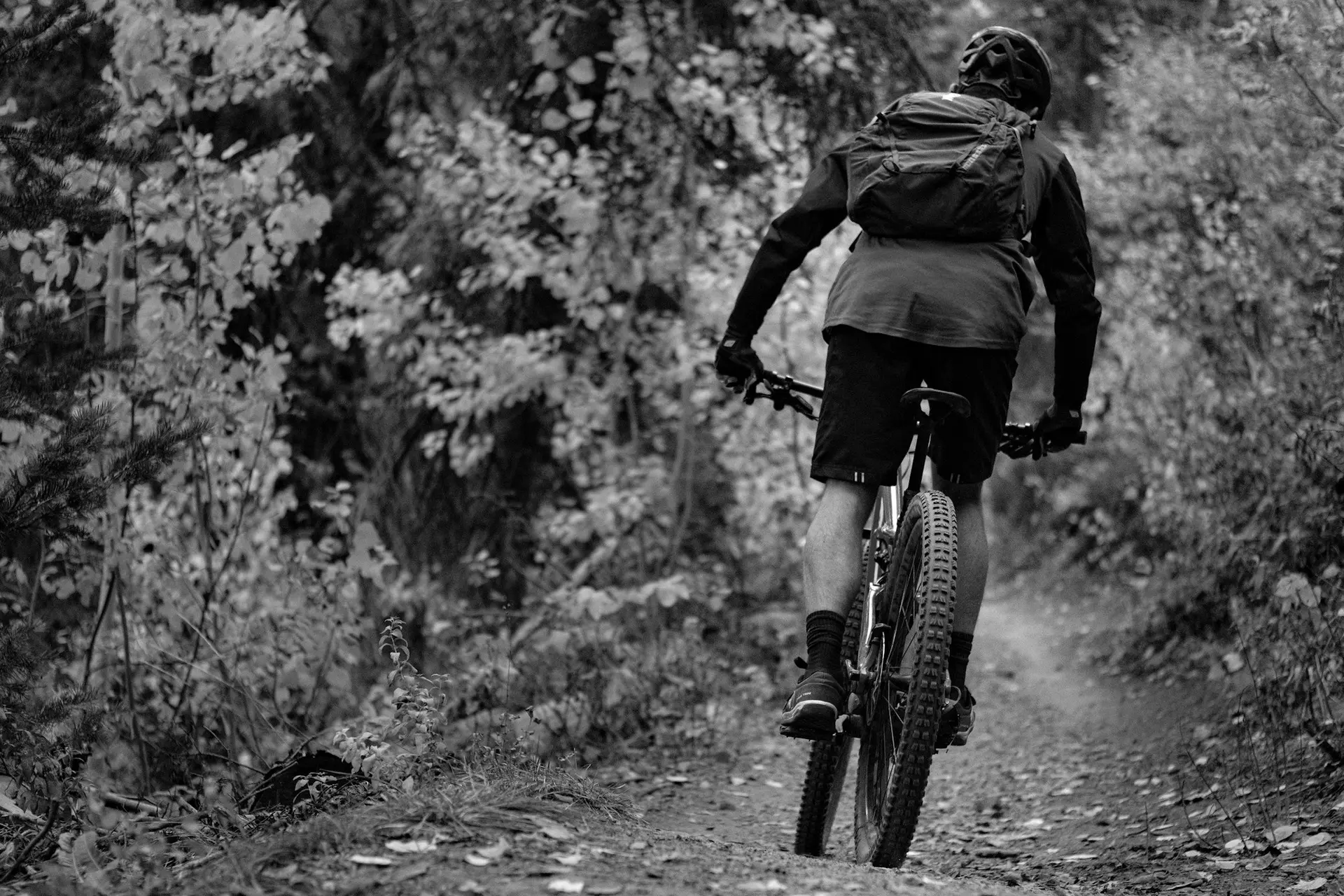 Mountainbiker overleden tijdens tourtocht in Ardennen, kleinzoon zag alles gebeuren
