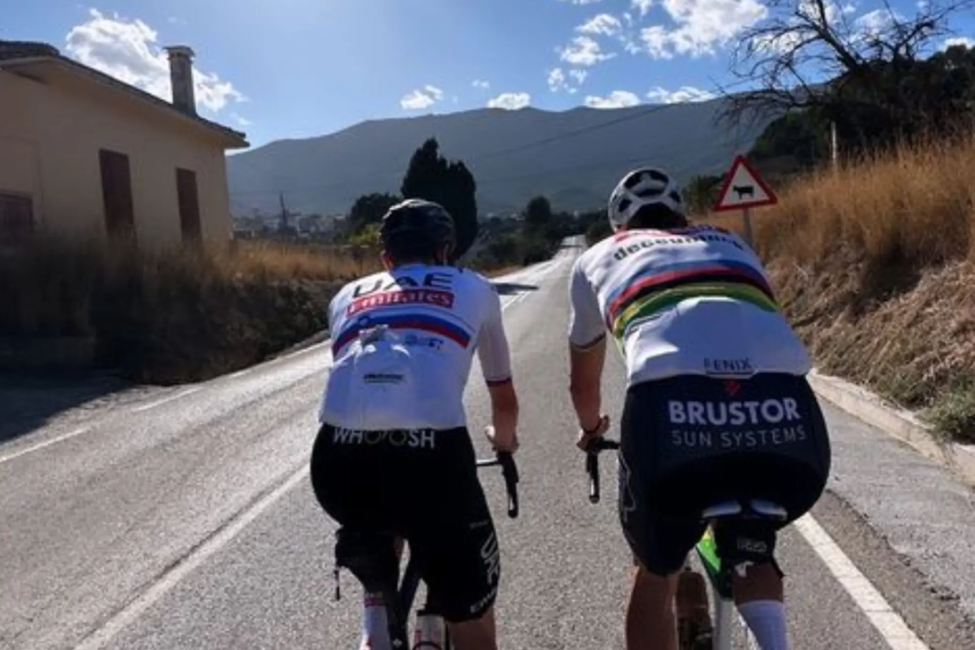 Tadej Pogacar en Mathieu van der Poel samen aan het trainen in Calpe
