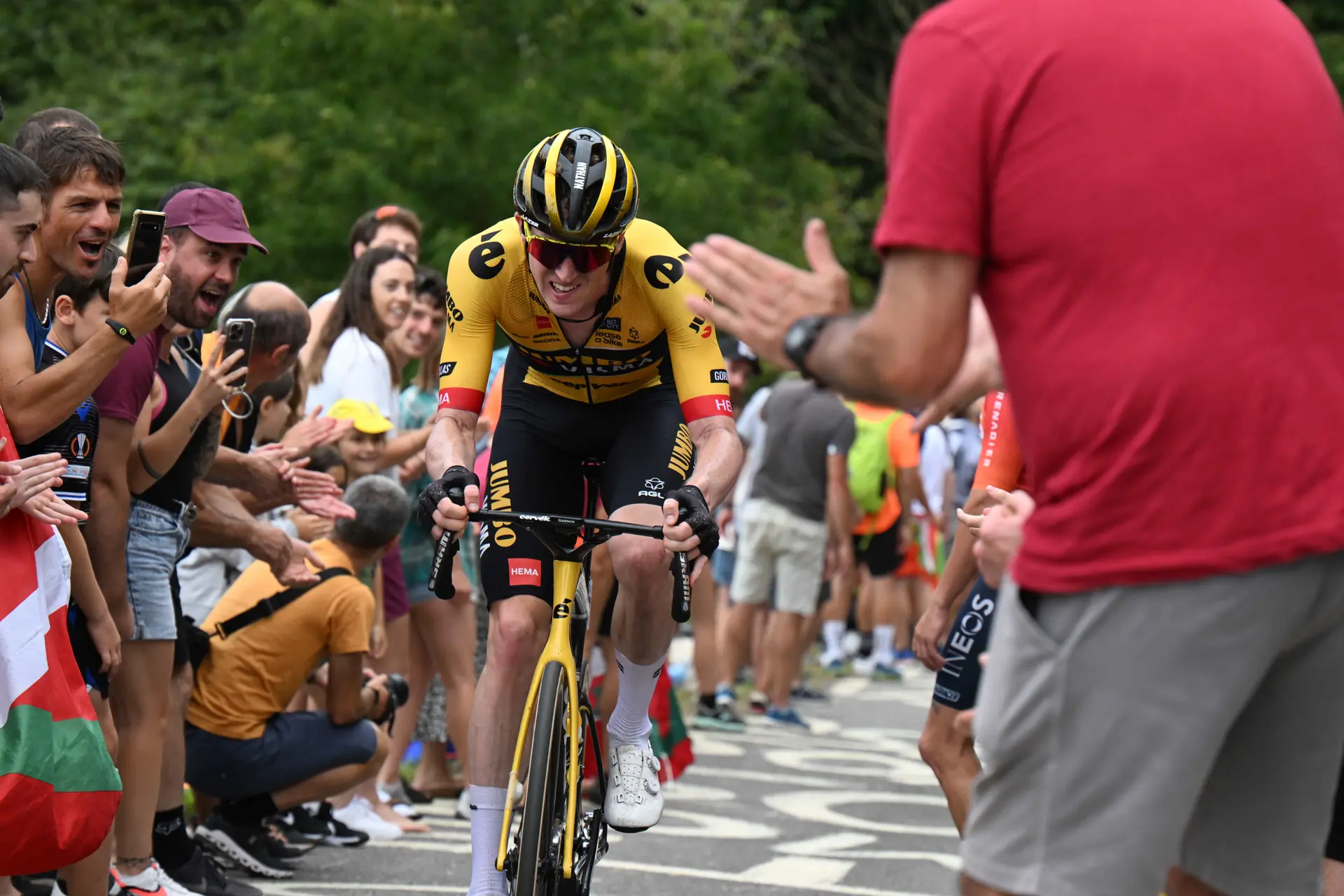 "Onderschat de afwezigheid van Nathan Van Hooydonck niet" - Jose De Cauwer ziet een potentieel struikelblok voor de hoop van Team Visma | Lease a Bike in de klassiekers