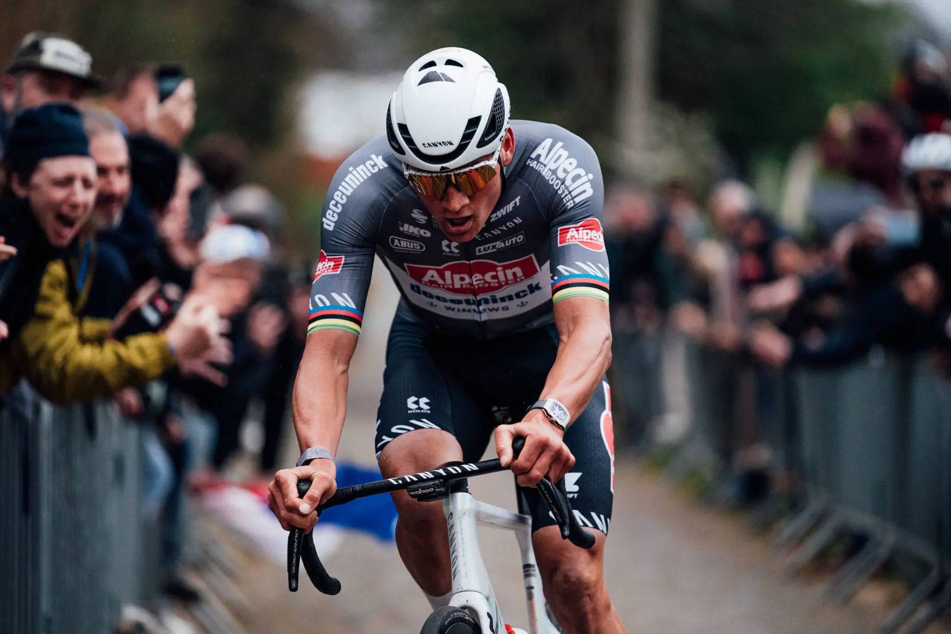 Johan Bruyneel over Mathieu van der Poel: "Er is maar één man die hem kan volgen, en dat is Tadej Pogacar"